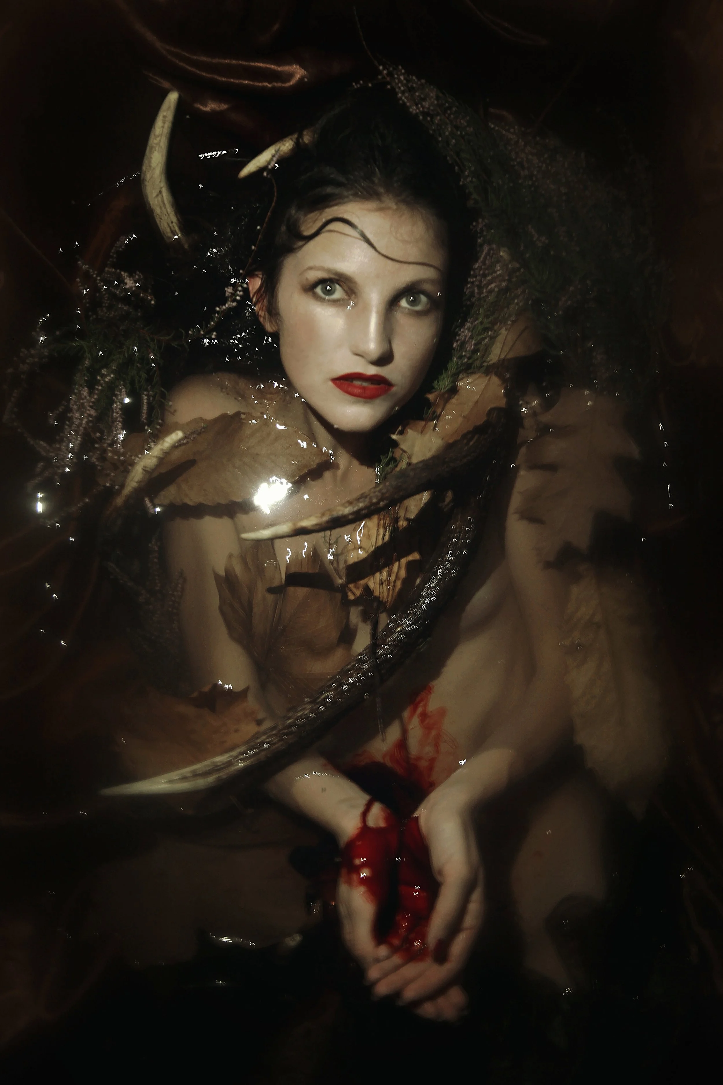 Natalia Kovachevski: Metamorphosis