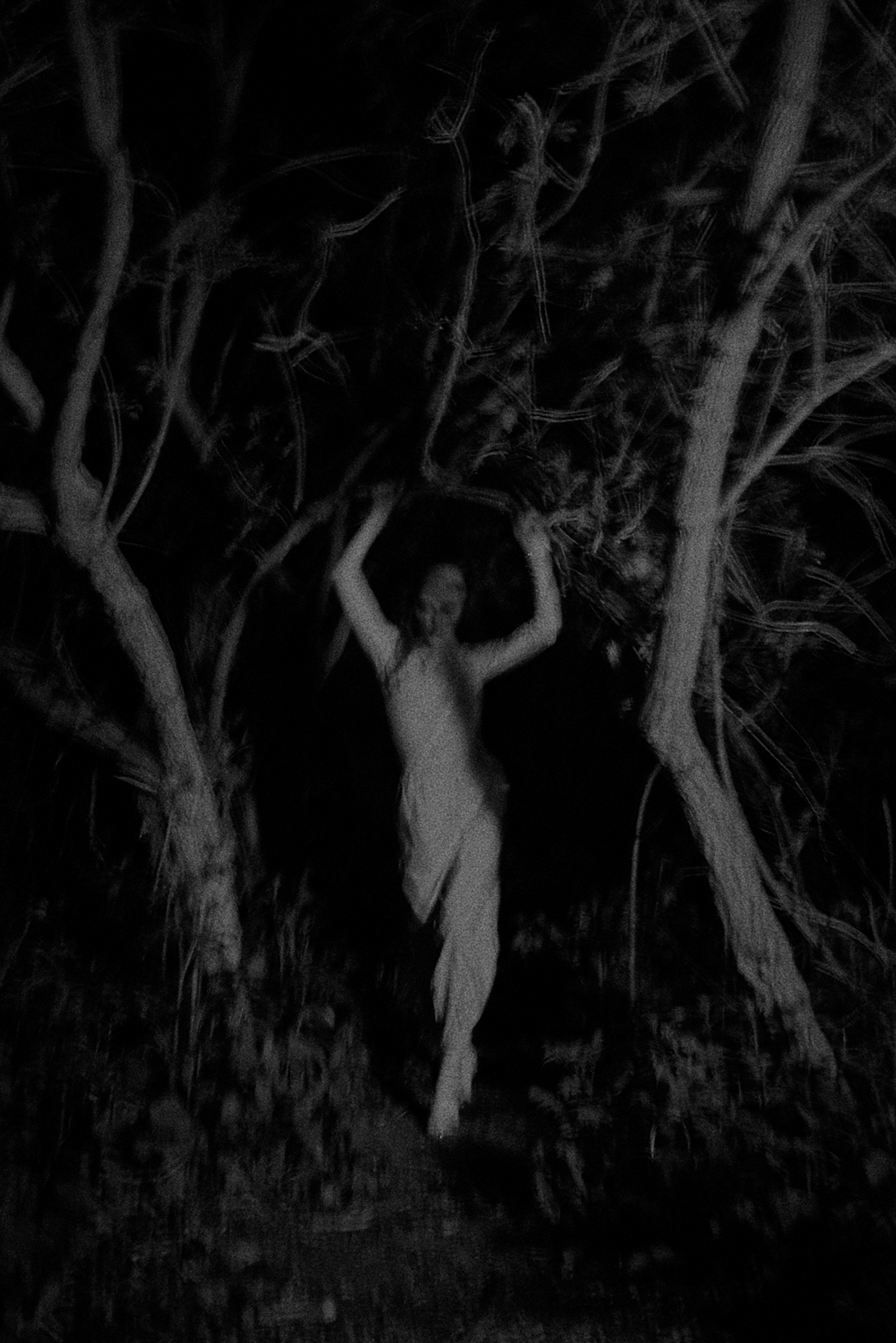 Phantom: Piotr Rulka