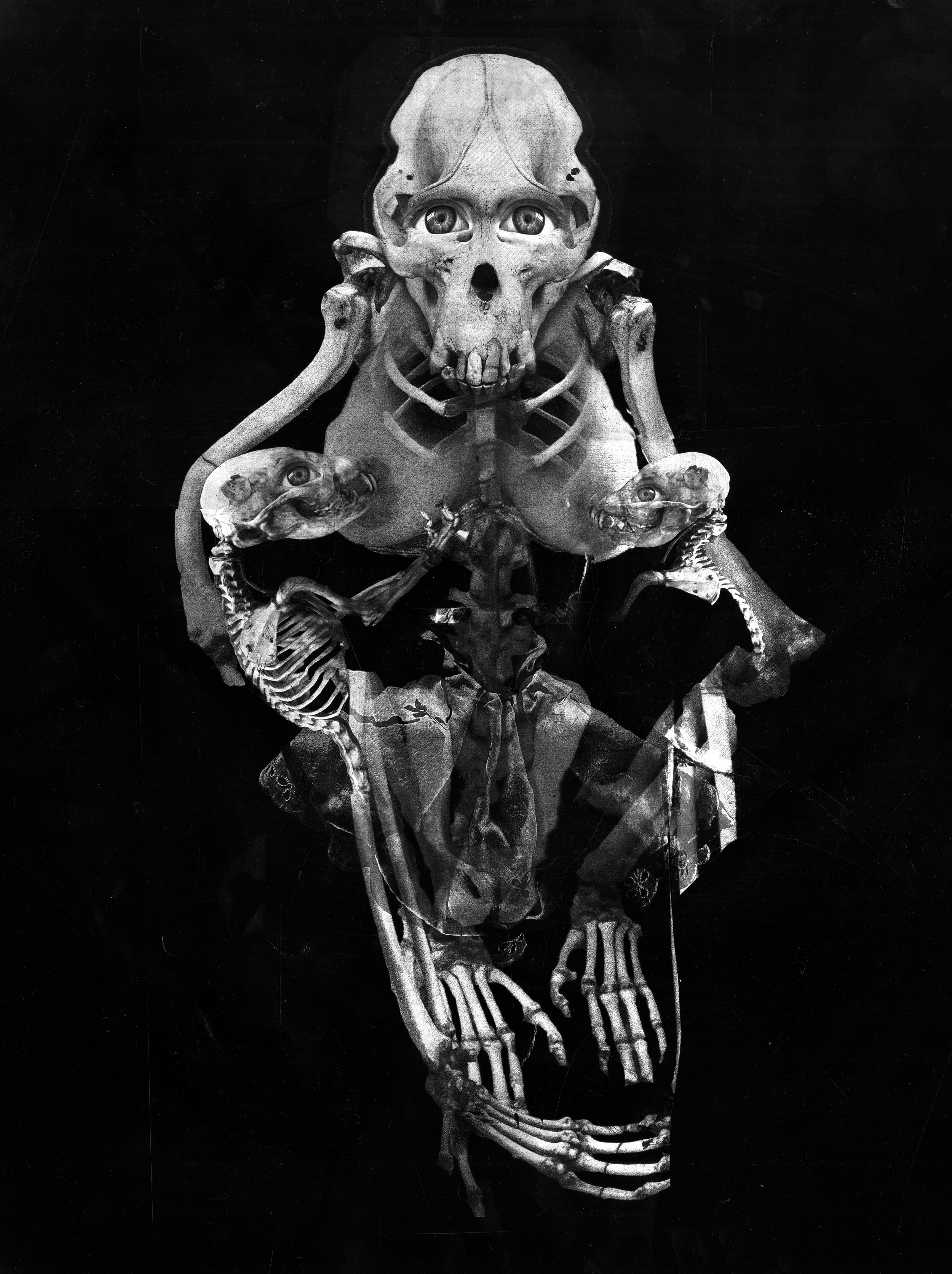 OUR BONES: CASSIDY FERRY