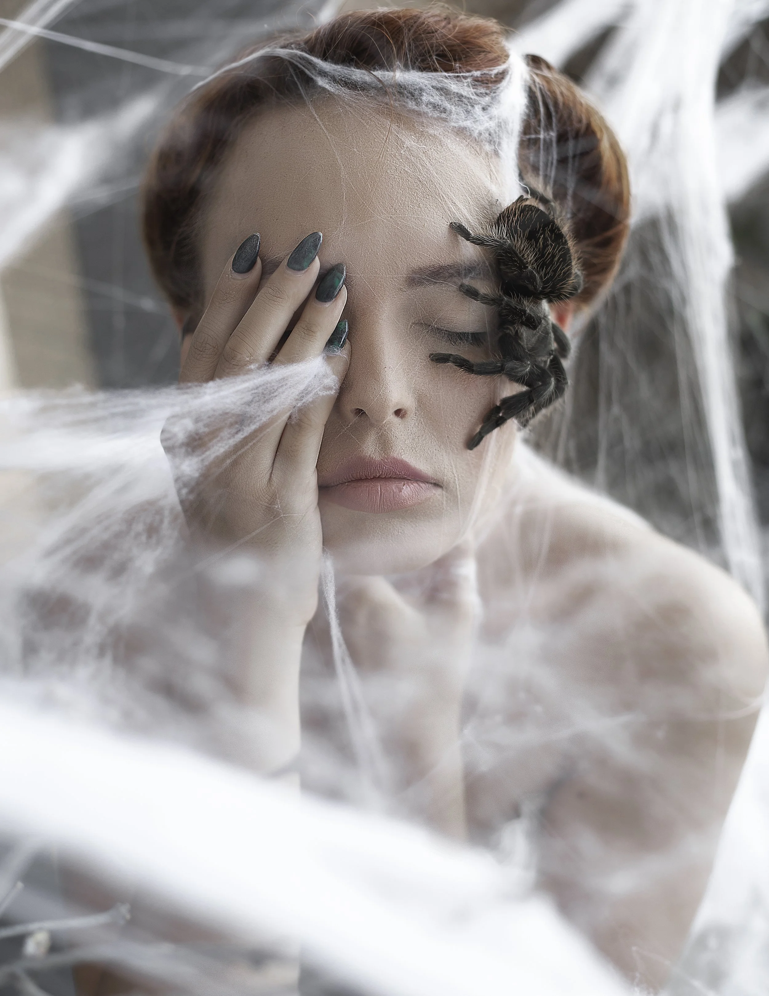 IN THE ARMS OF A SPIDER : Inga Chirkova