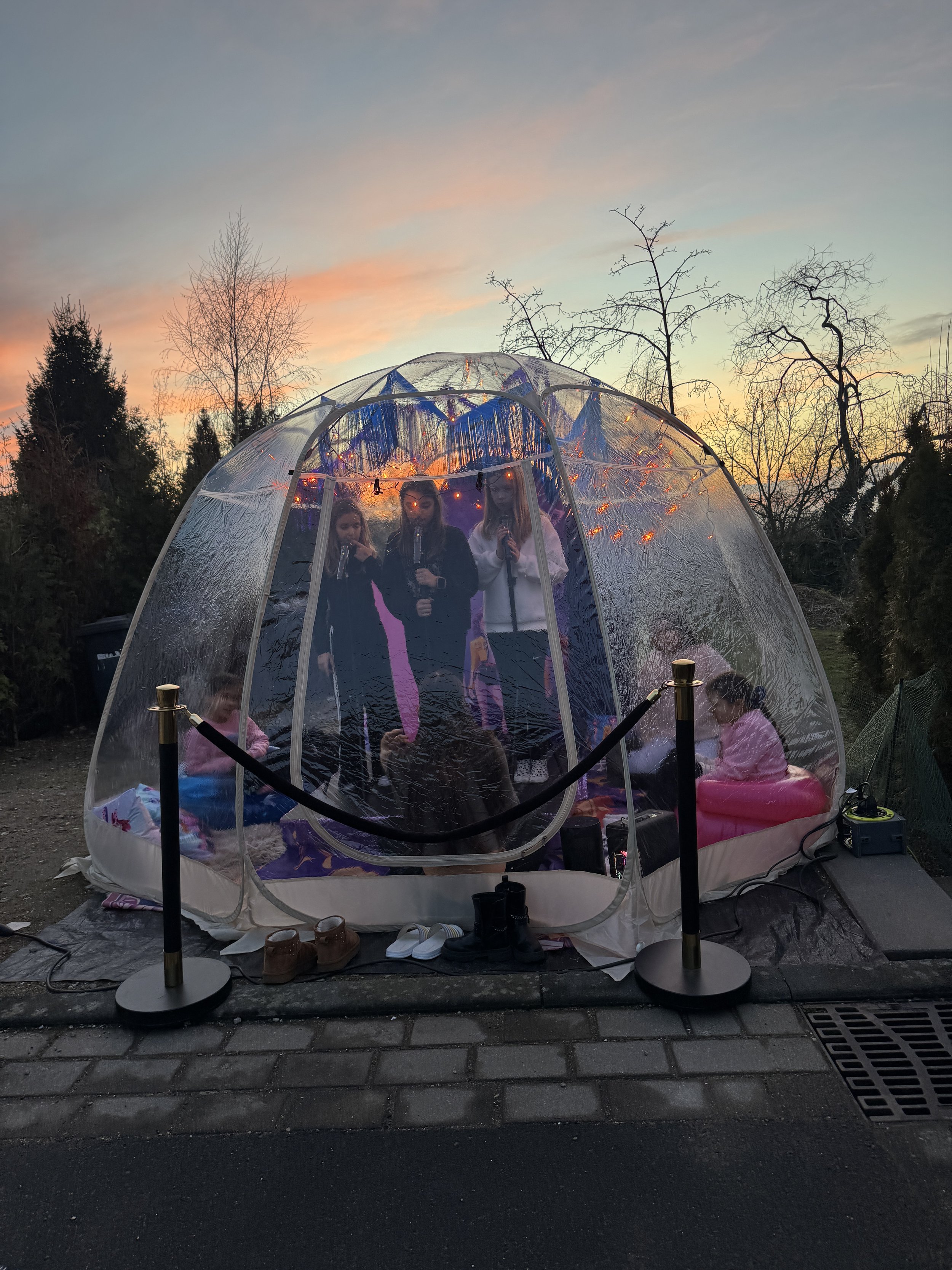 K Pop Demon Hunterparty