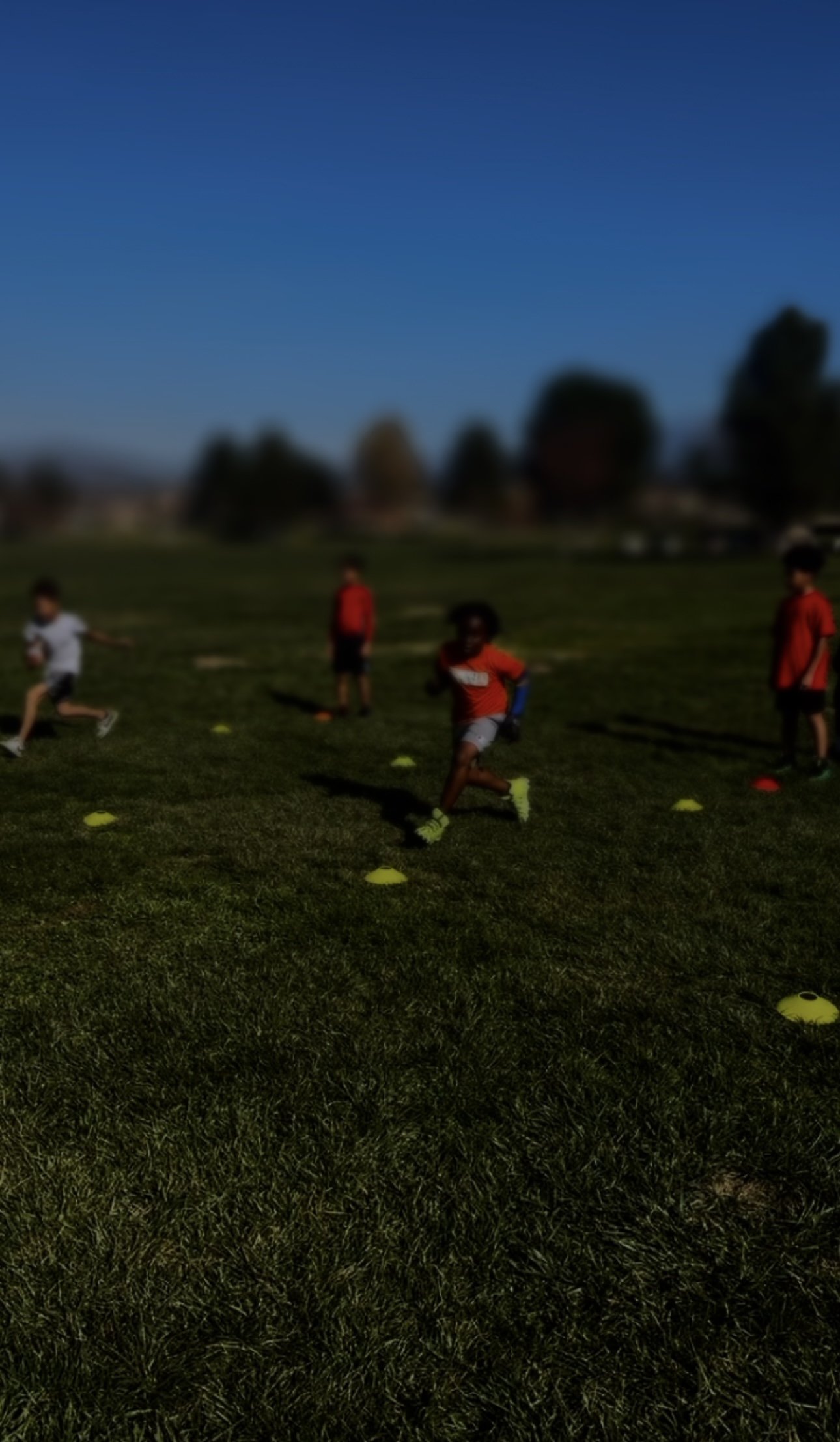 Only The Fearless Youth Sports Performance Program