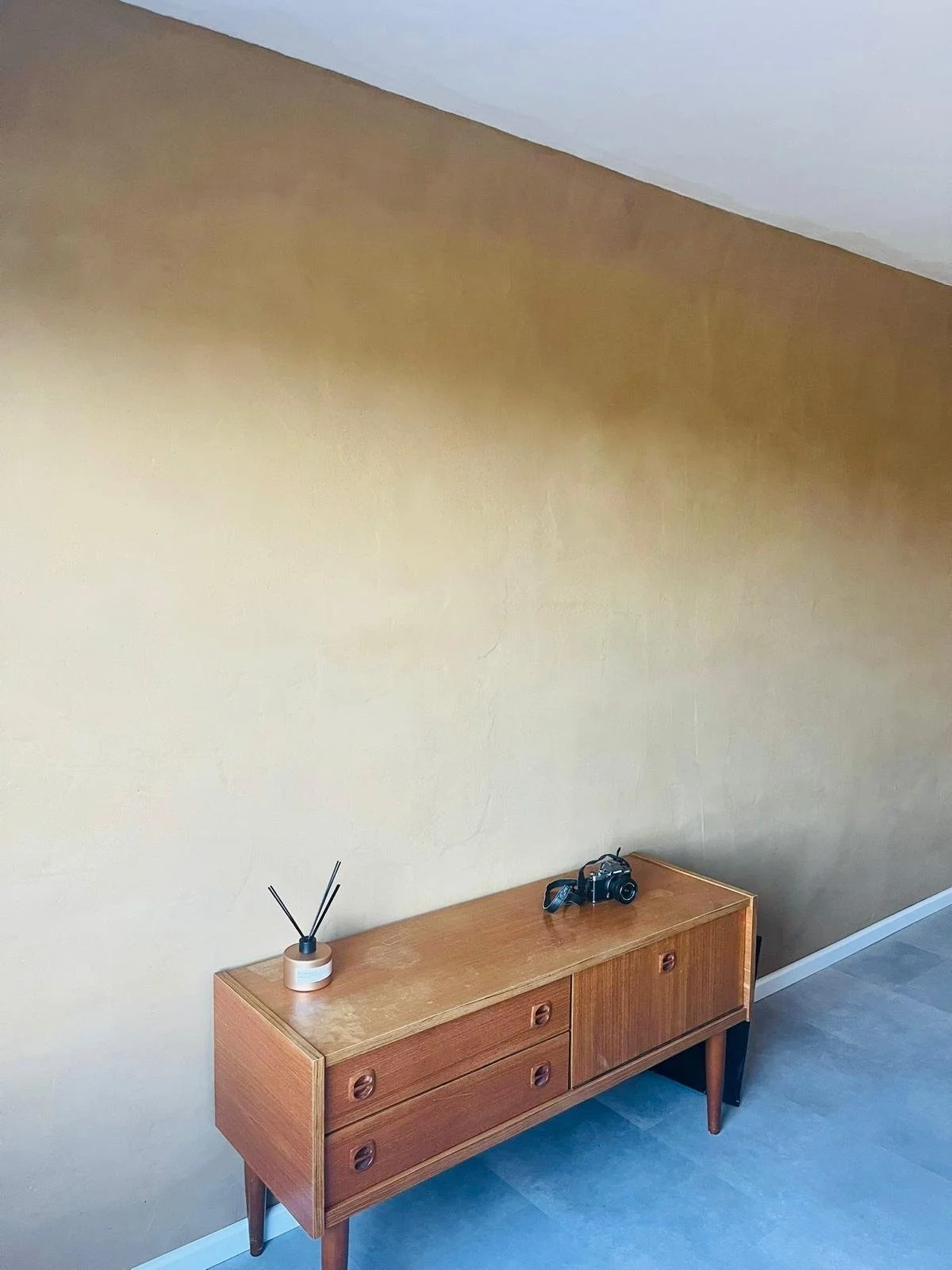 Project Diest