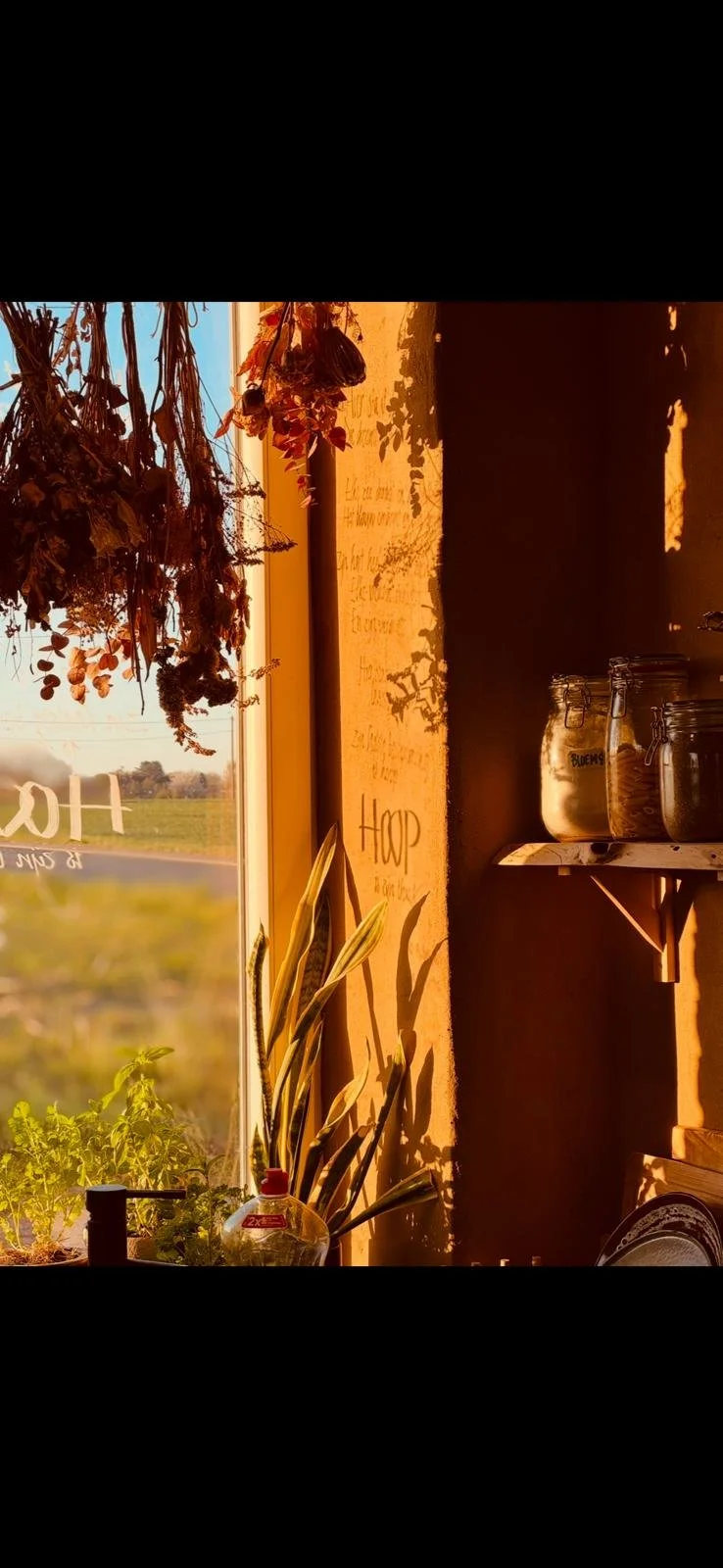 Leempleister wandafwerking in woning in Pellenberg