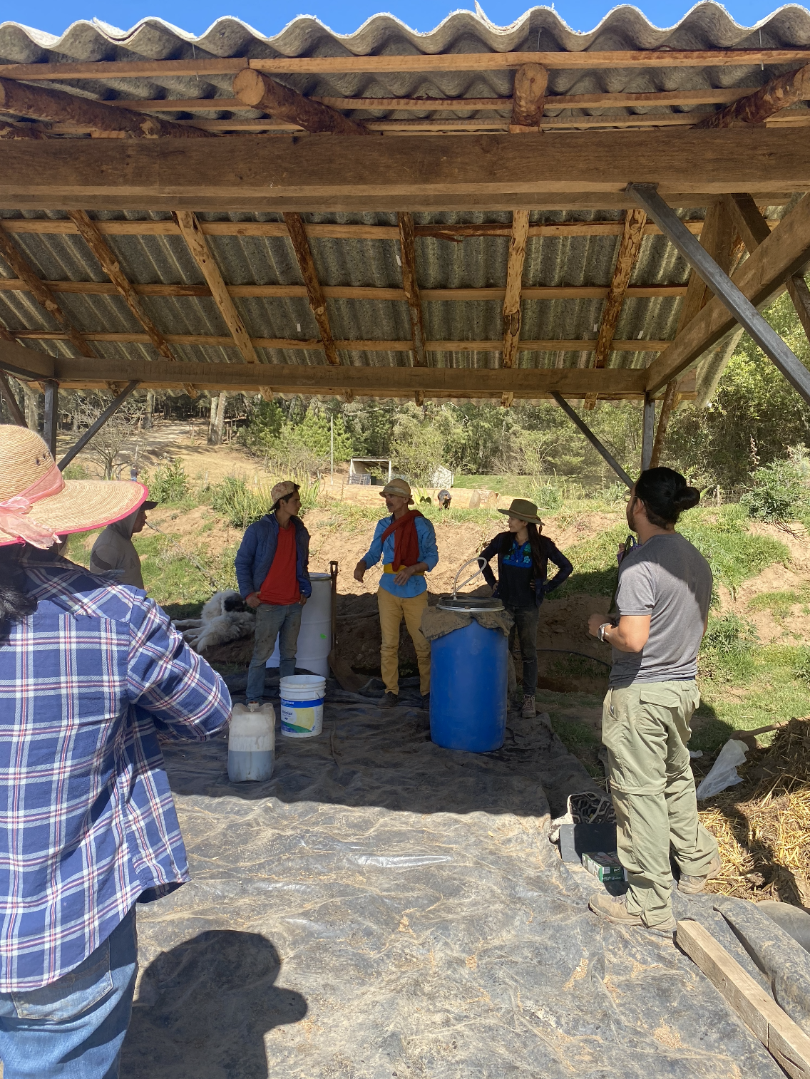 Captura de Pantalla 2022-06-05 a la(s) 15.58.04.png