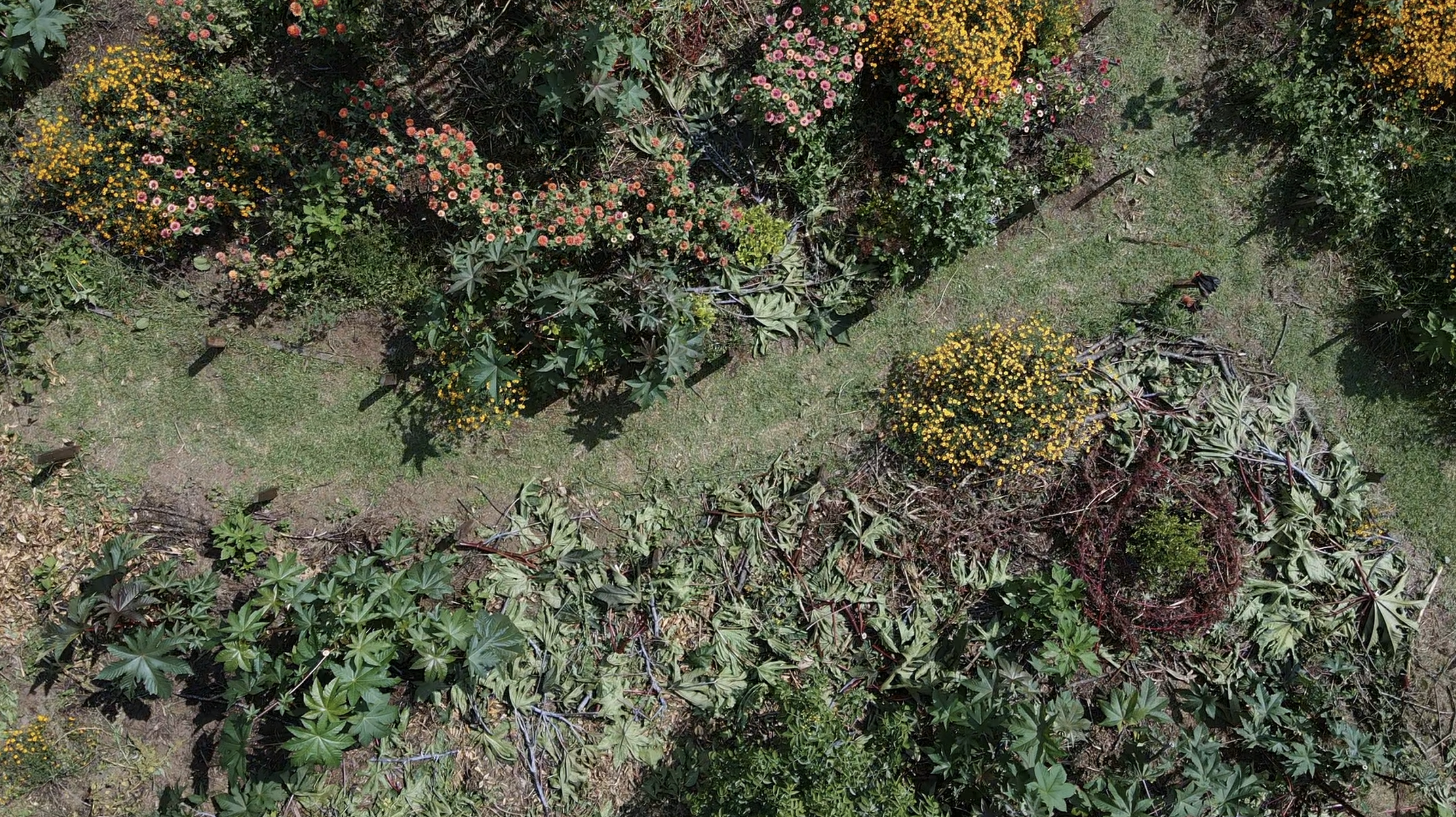 Captura de pantalla 2024-02-15 a la(s) 13.54.07.png