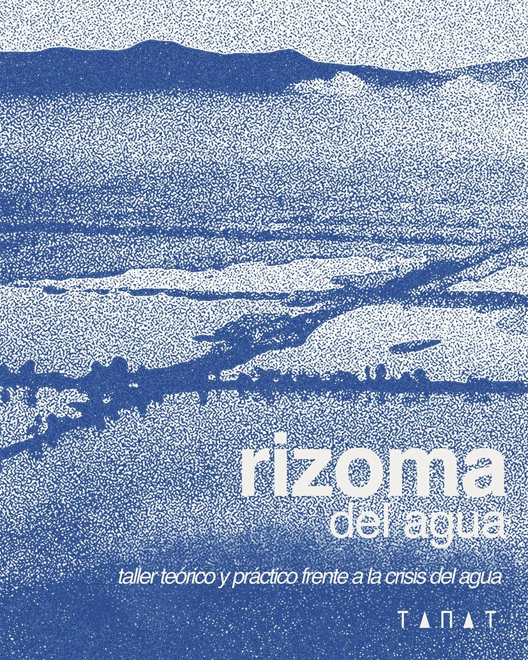 rizoma del agua posts-1.jpg