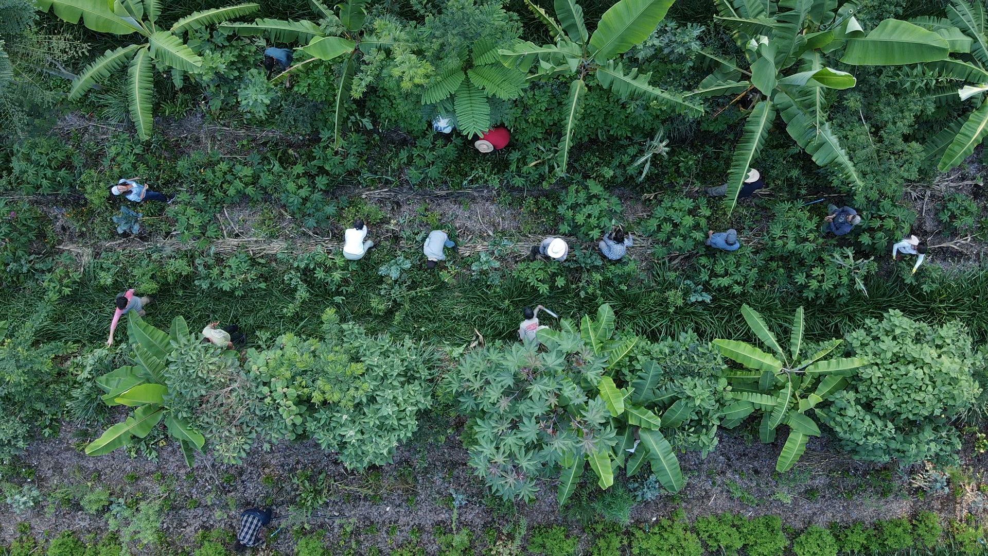 22. Namastour 2023, 2024, 2025, 2026.