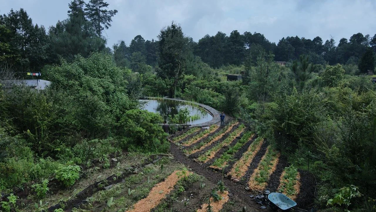 WhatsApp Image 2024-09-17 at 16.04.40.jpeg