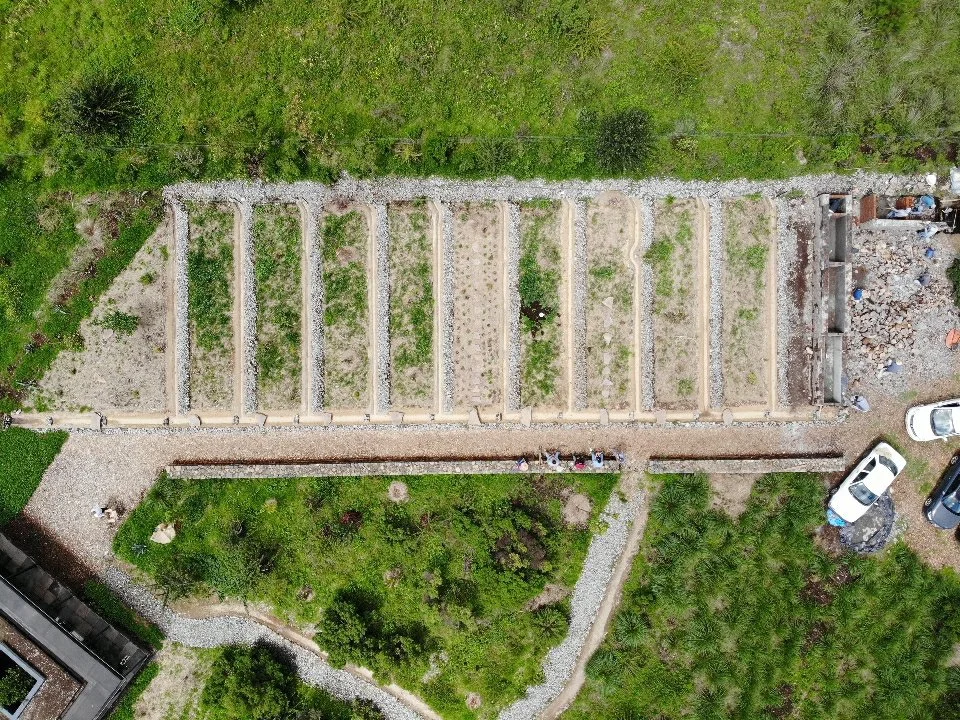 PHOTO-2020-08-07-13-11-34 (1).jpg