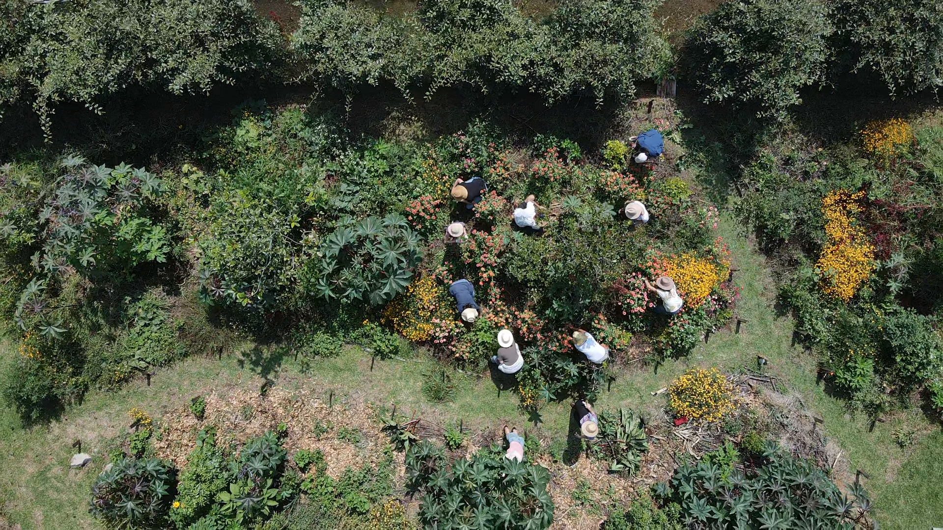 2023-11-14-11-39-58-849 (1).PNG