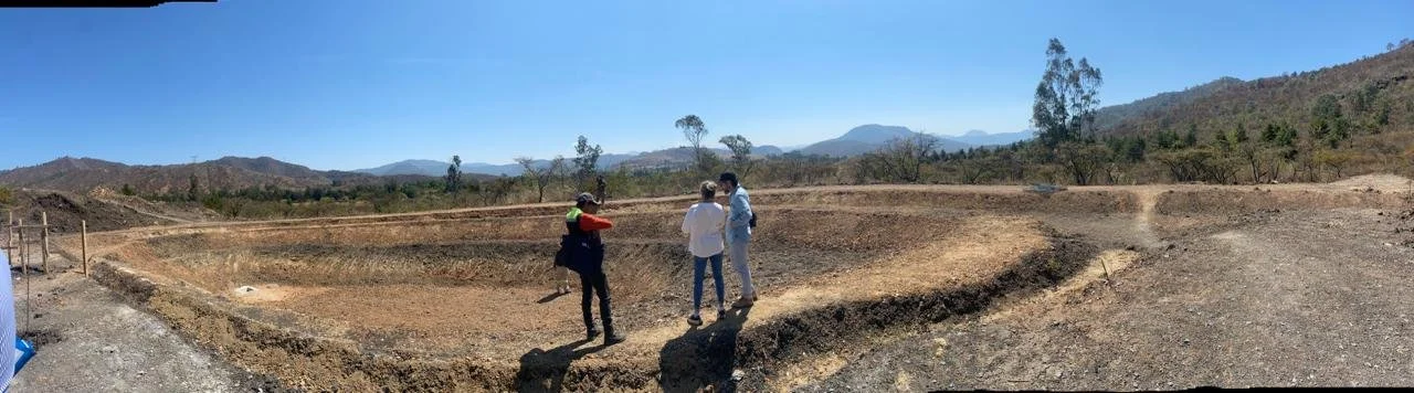 WhatsApp Image 2024-03-19 at 13.35.37-13.jpeg