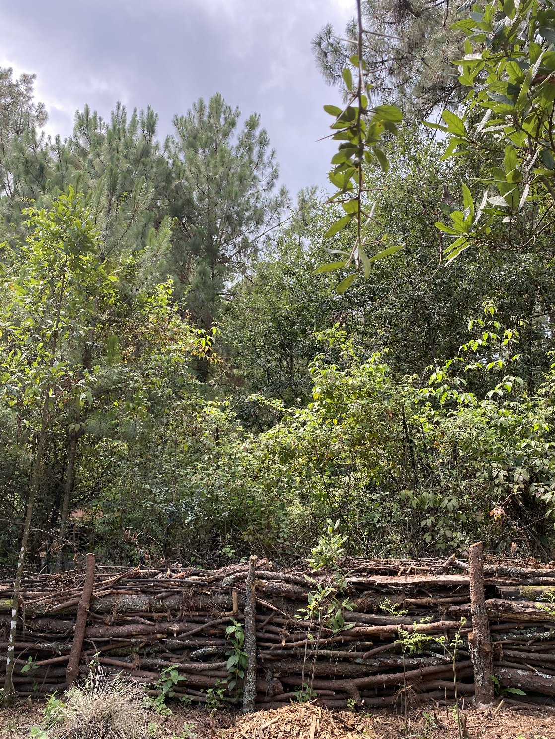 Captura de Pantalla 2023-11-23 a la(s) 16.14.52.png