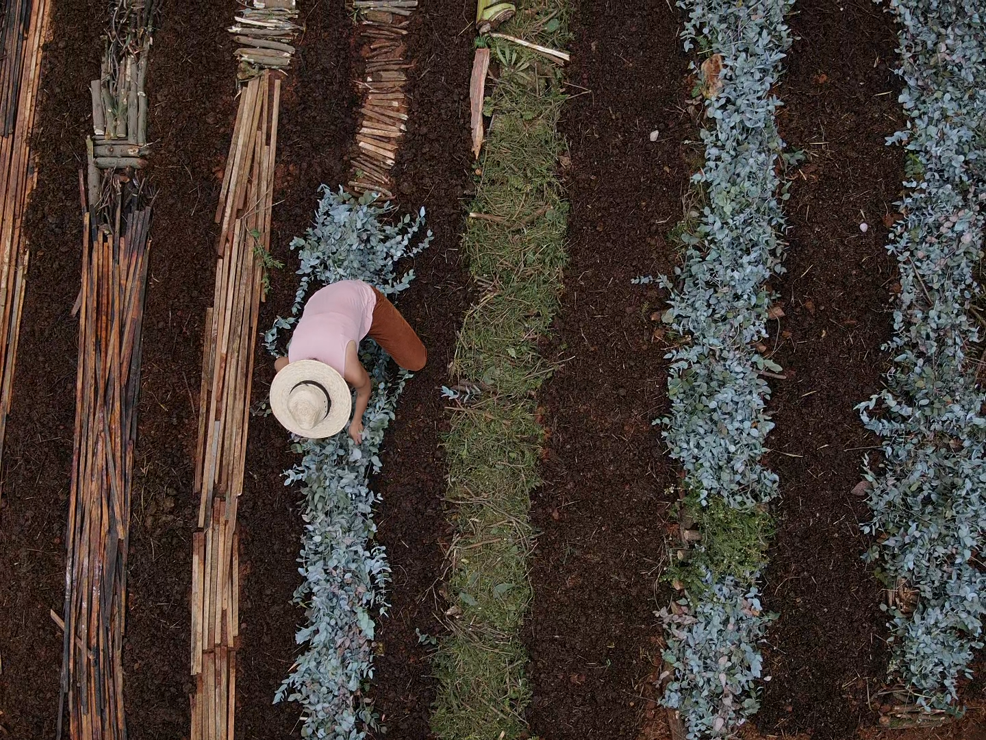 23. Tequios para la Tierra