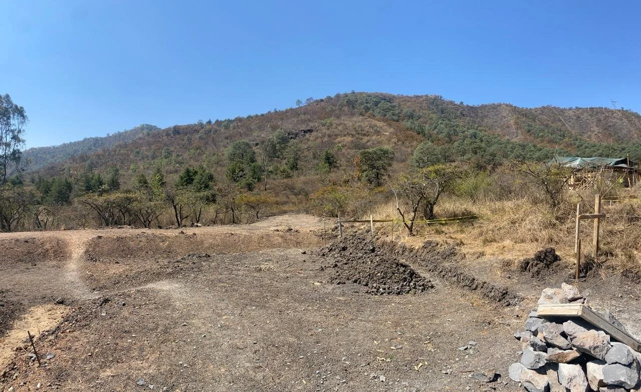 WhatsApp Image 2024-03-19 at 13.35.37.jpeg