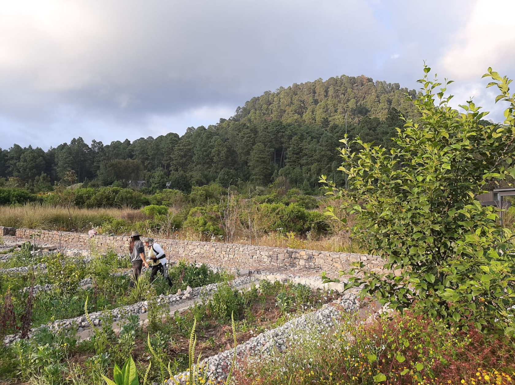 Screen Shot 2021-03-05 at 11.35.02.png