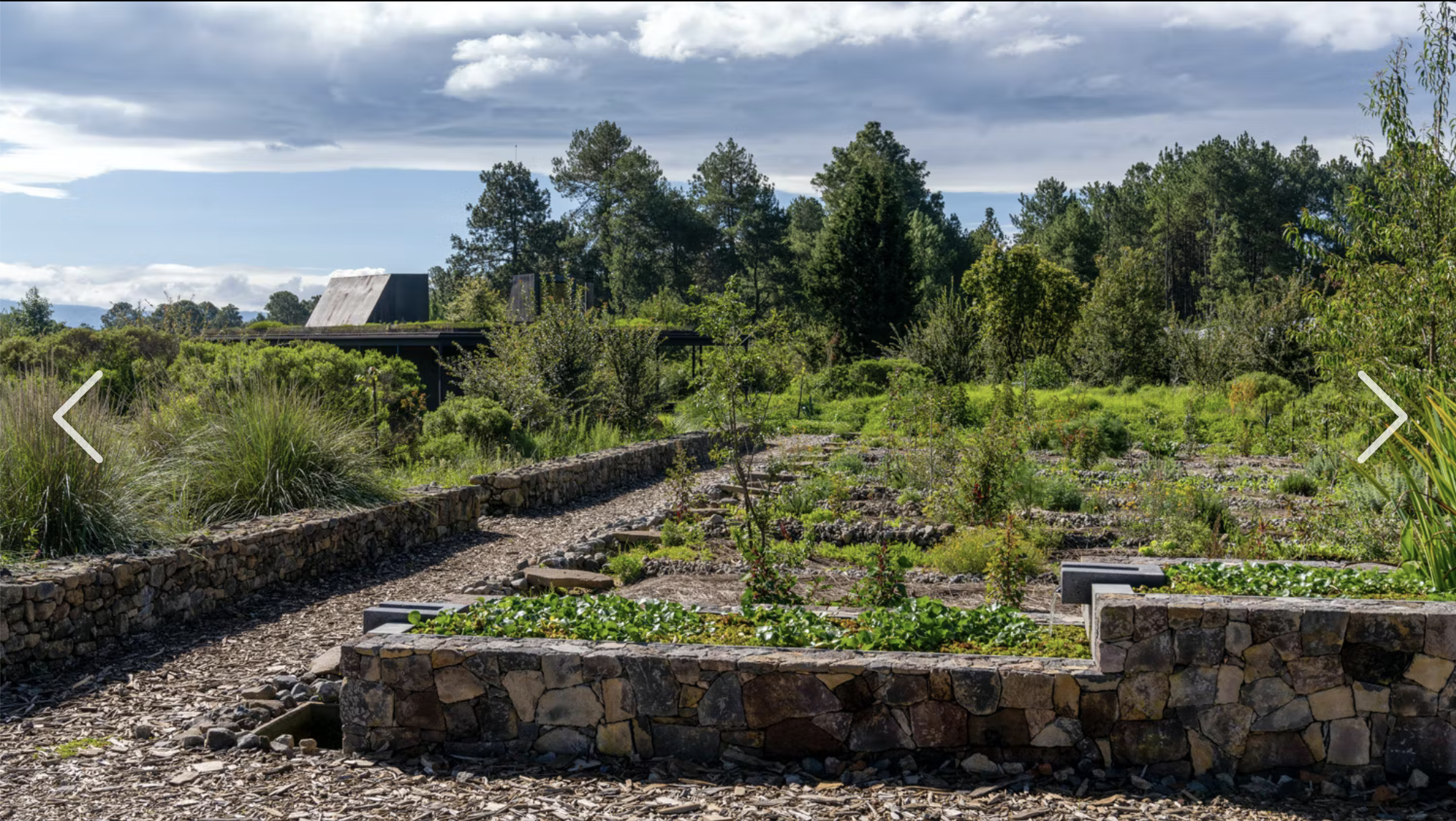Captura de Pantalla 2022-06-22 a la(s) 10.15.36.png