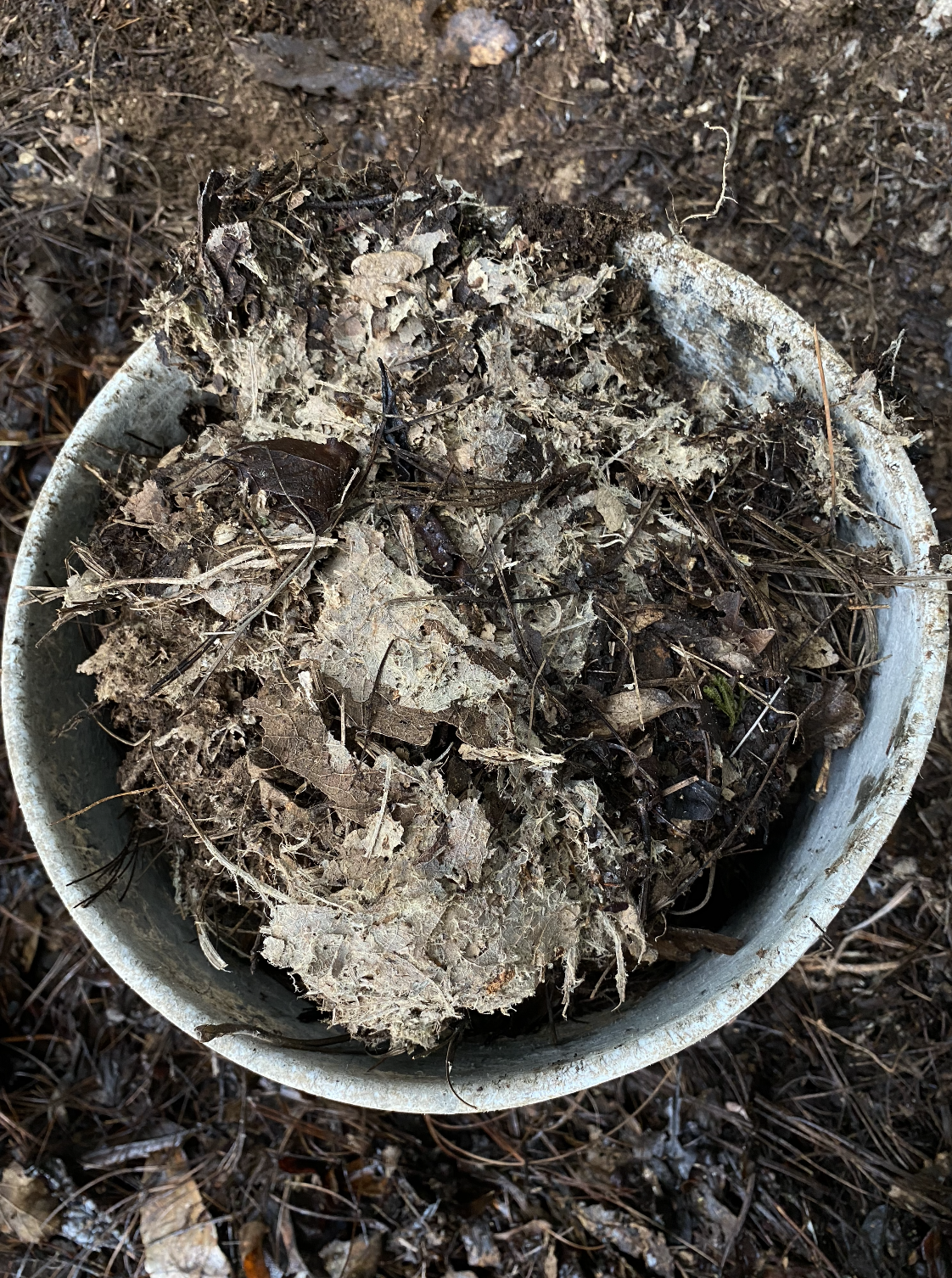 Captura de Pantalla 2022-06-05 a la(s) 14.33.43.png