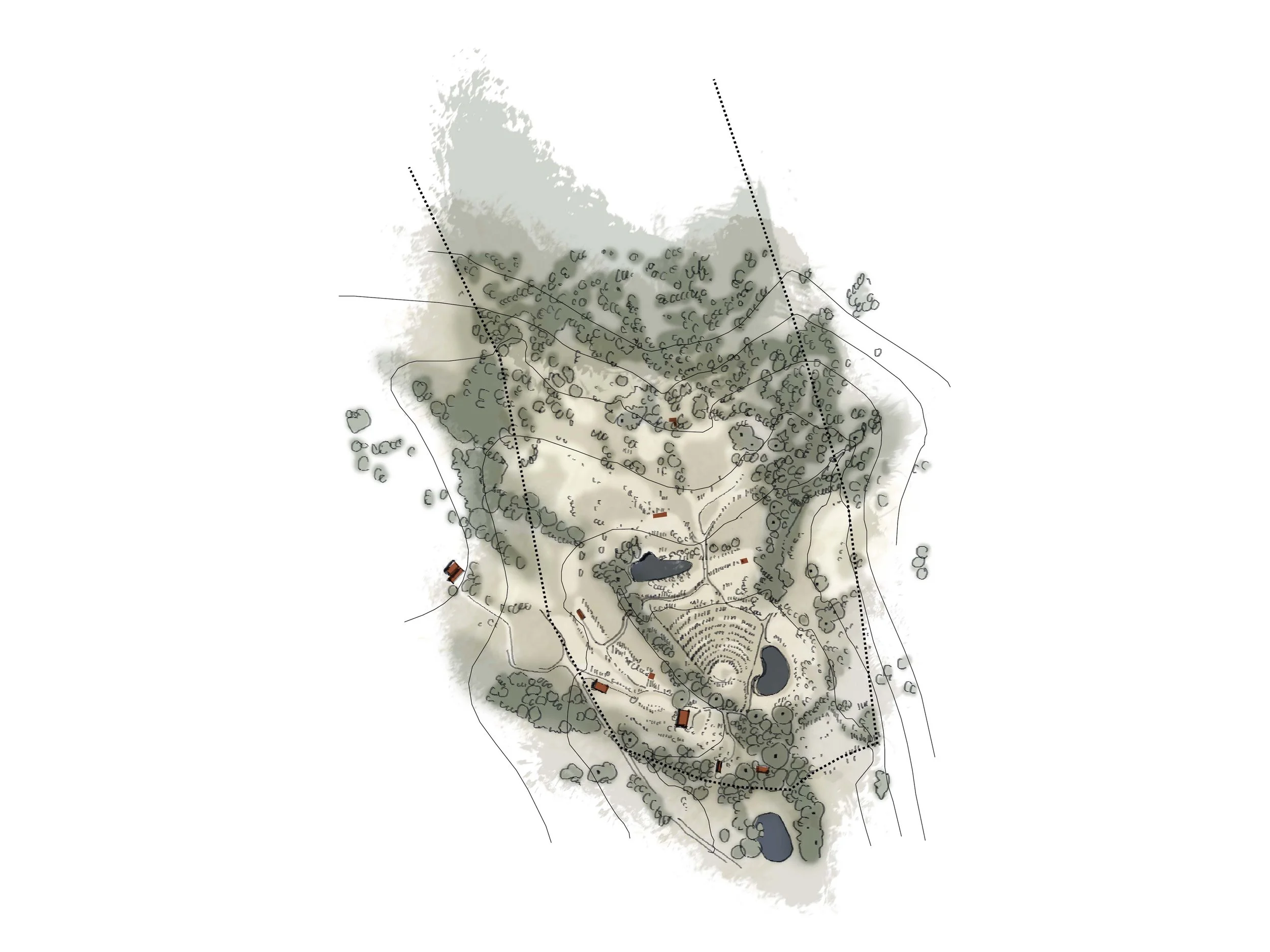 15. Paisaje Rancho el Ameyal