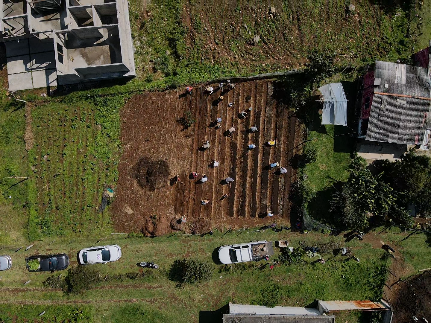 2025-07-26-10-07-23-995 2.PNG