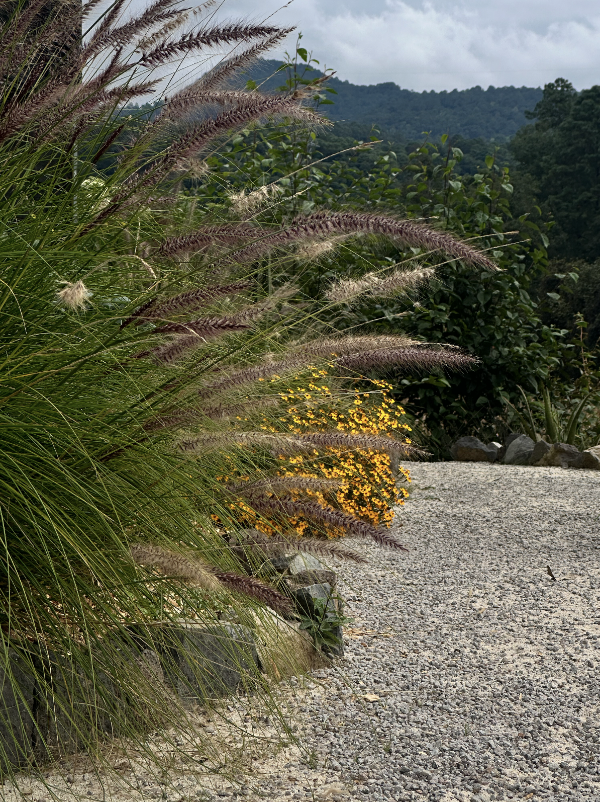 Captura de pantalla 2024-02-15 a la(s) 14.40.49.png