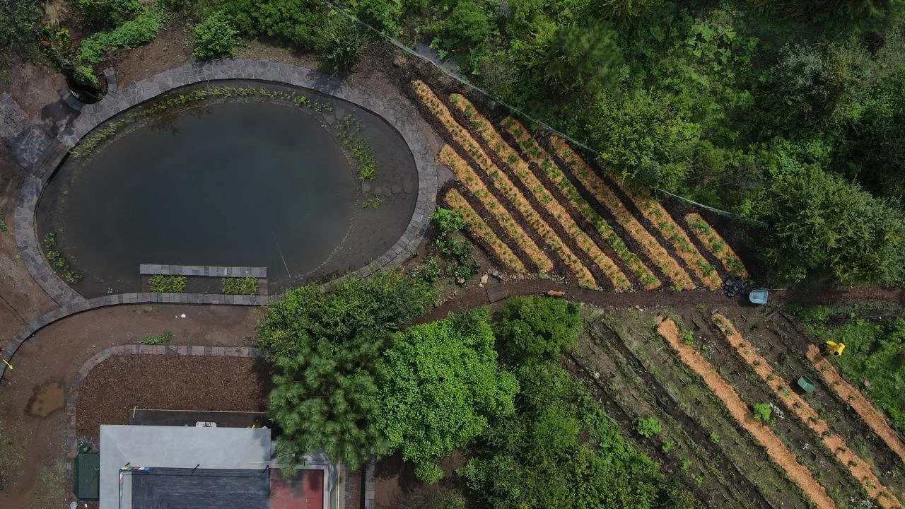 WhatsApp Image 2024-09-17 at 16.05.28.jpeg