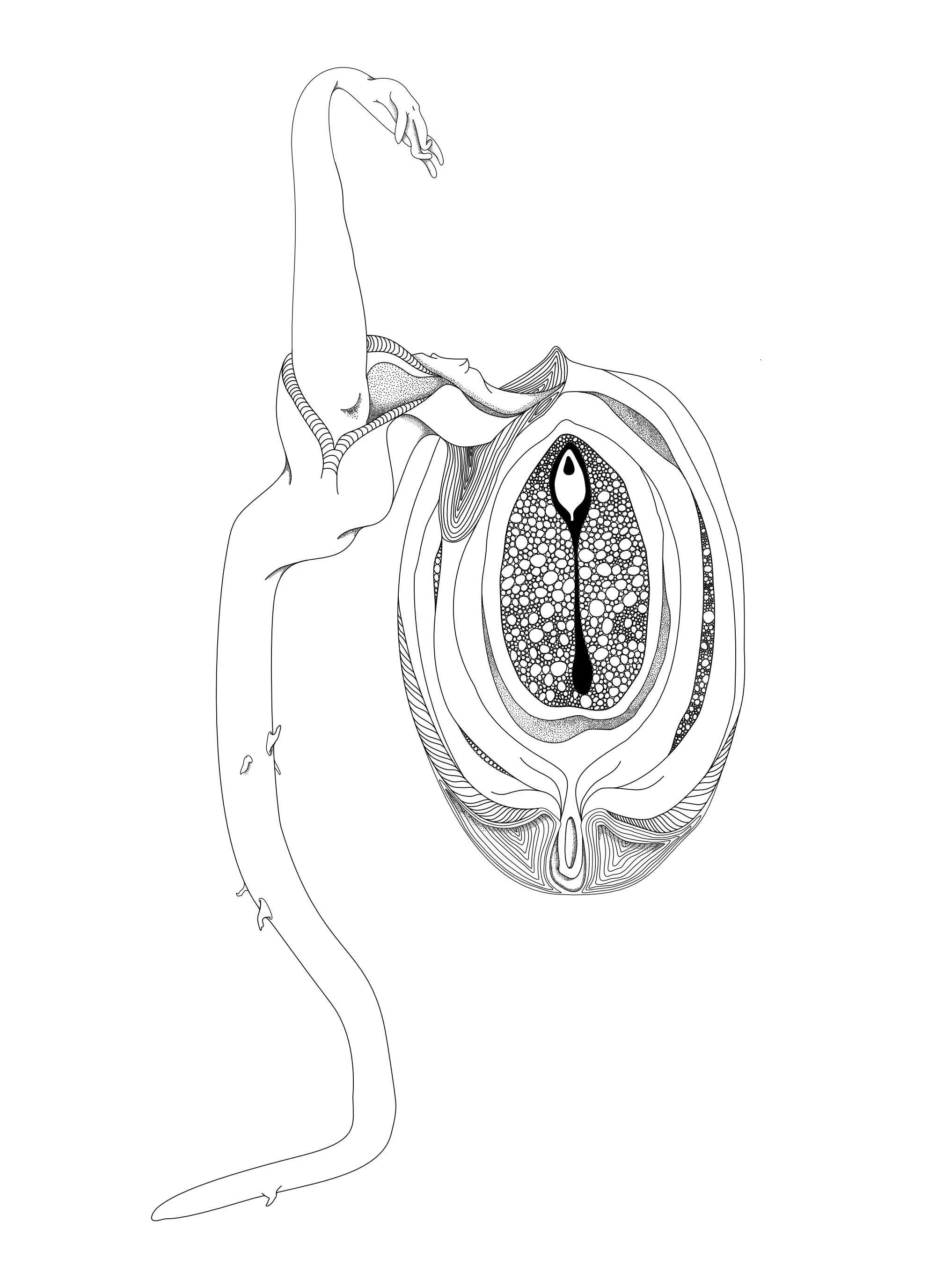 A detailed black and white line drawing of a snake with its head turned upward, partially emerging from a sliced open fruit, revealing its intricate interior structure.