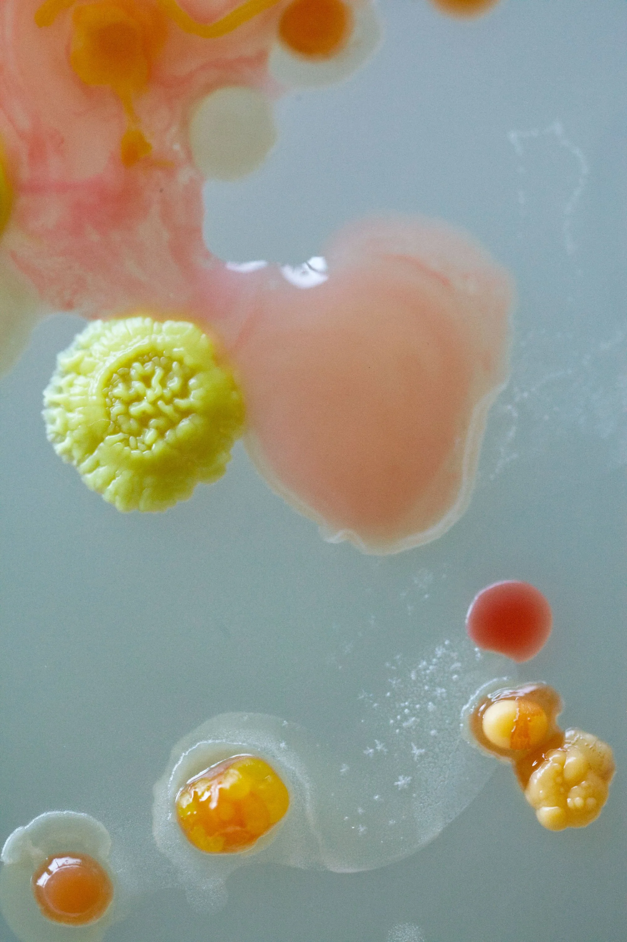 25-02-26 PRINTBESTAND 01.jpg