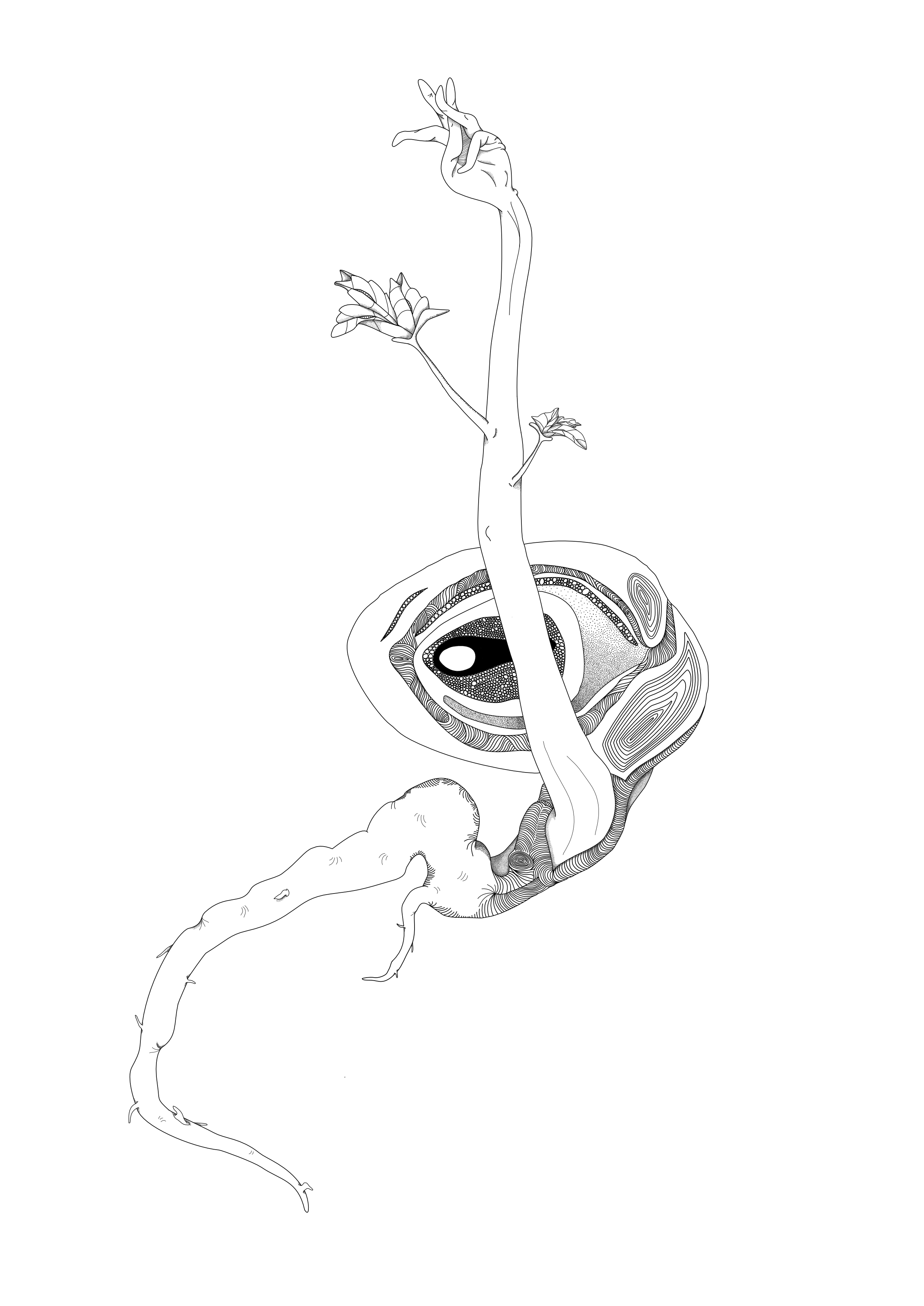 Seedsprouthumanfinished 2.png