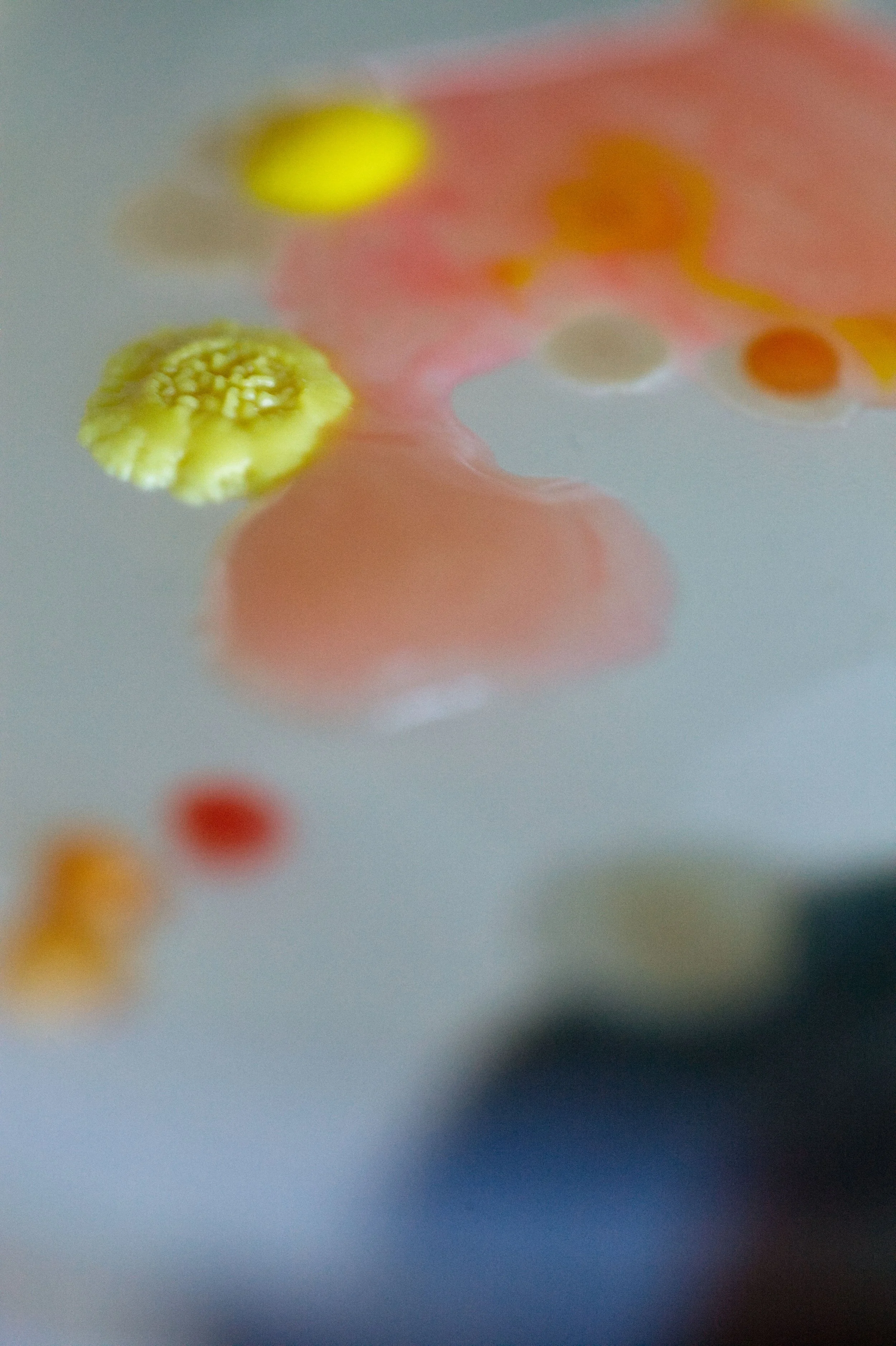 25-02-26 PRINTBESTAND 02.jpg