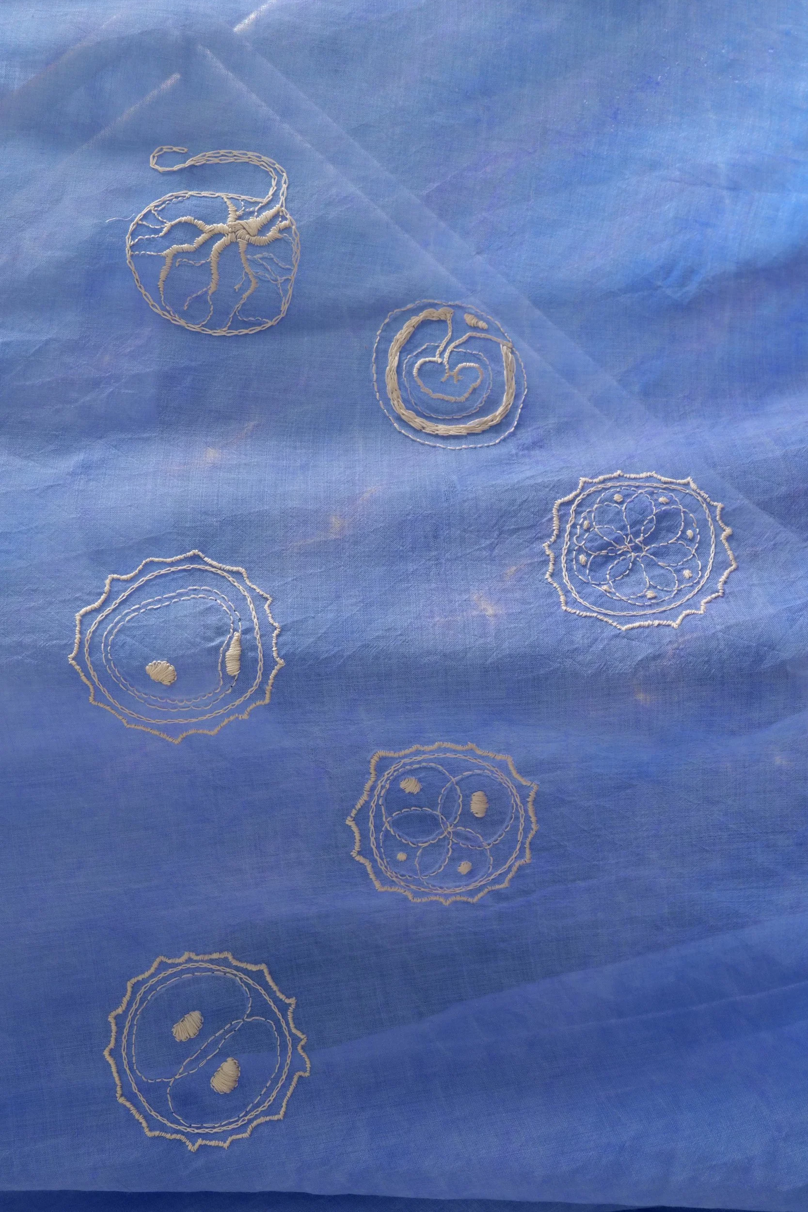 Seven embroidered circular designs in white thread on blue fabric, each with different intricate patterns. Cells, placenta and whomb