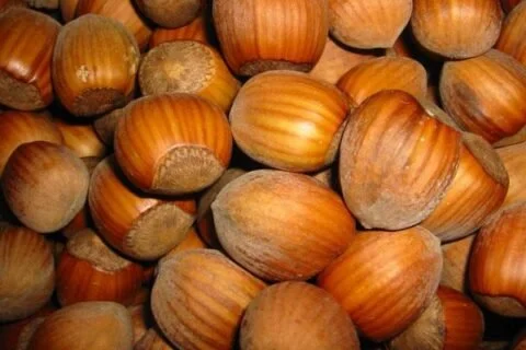 25 ton clean and dry (Sacajawea)