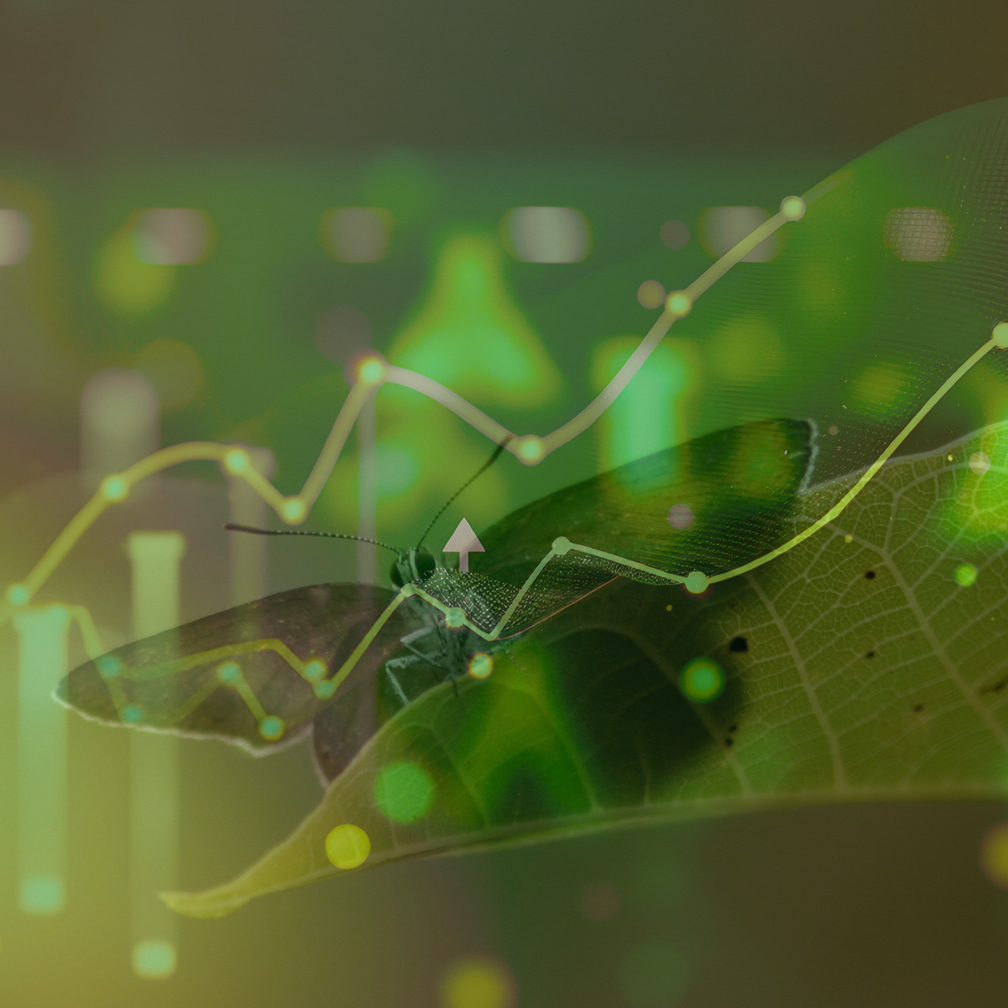 Find out how a Fractional Finance Director Combine with Existing Finance Functions...