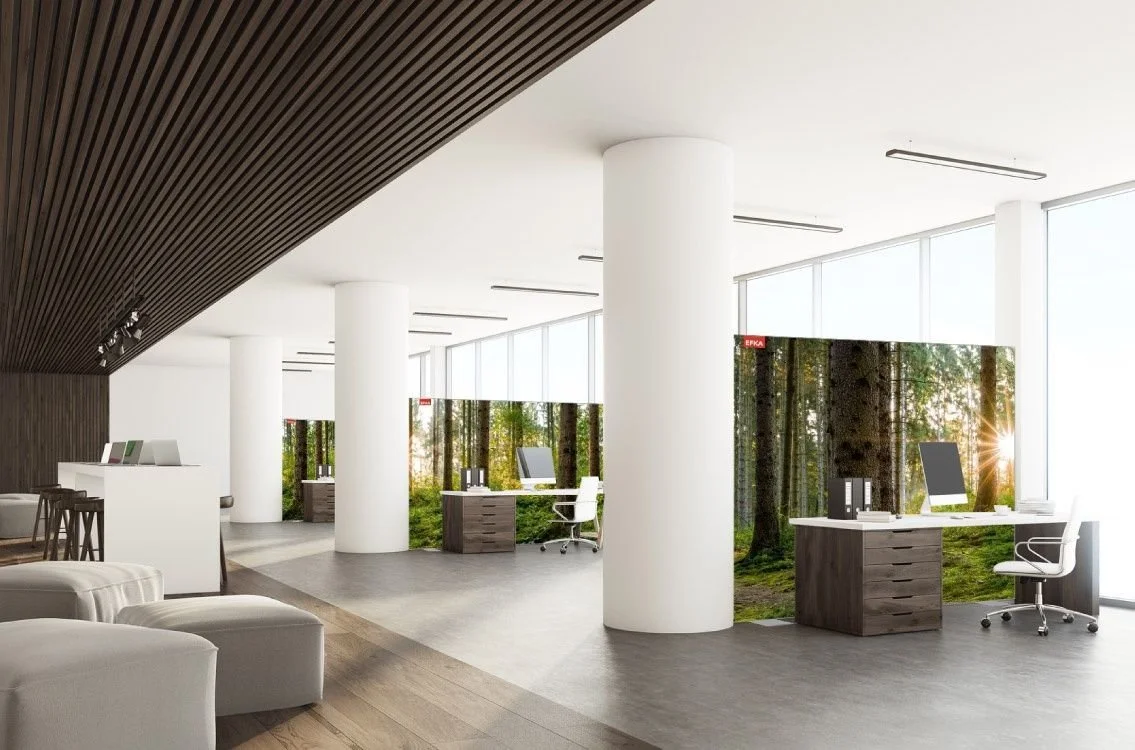 Modern office with multiple desks facing large windows showing a forest, white chairs, and a dark wood ceiling