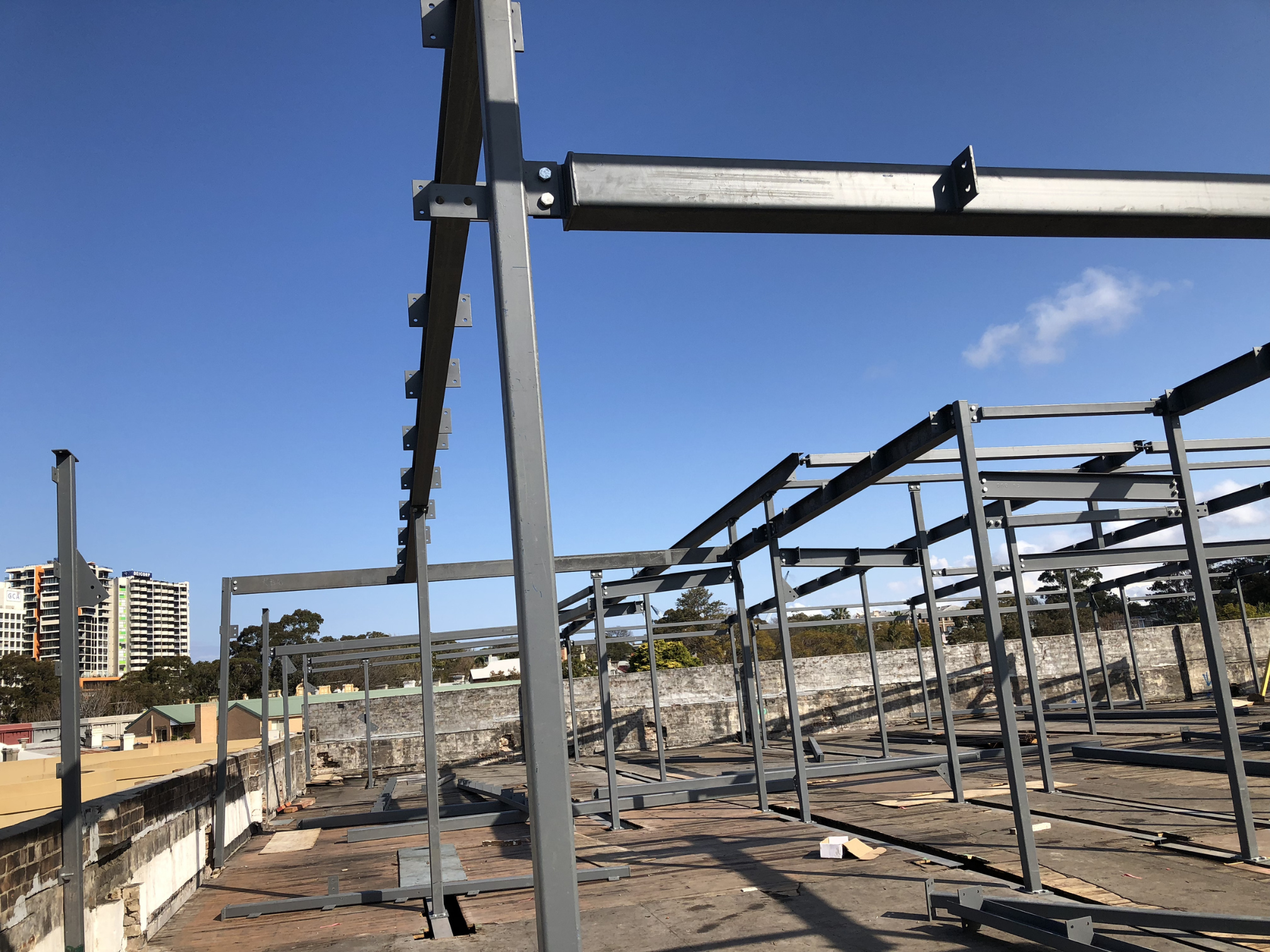 Chipping Dale 3 .png