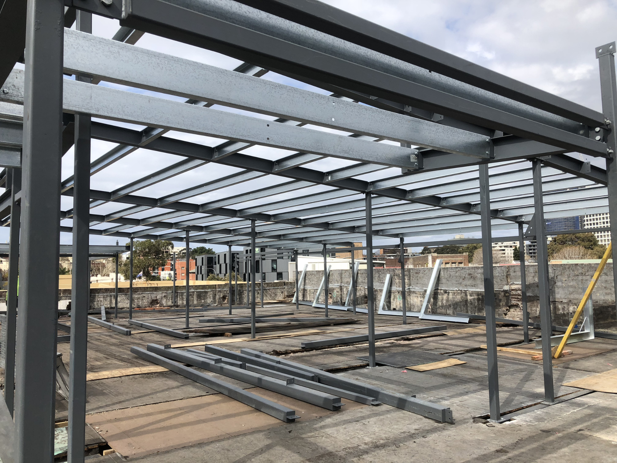 Chipping Dale 5 .png