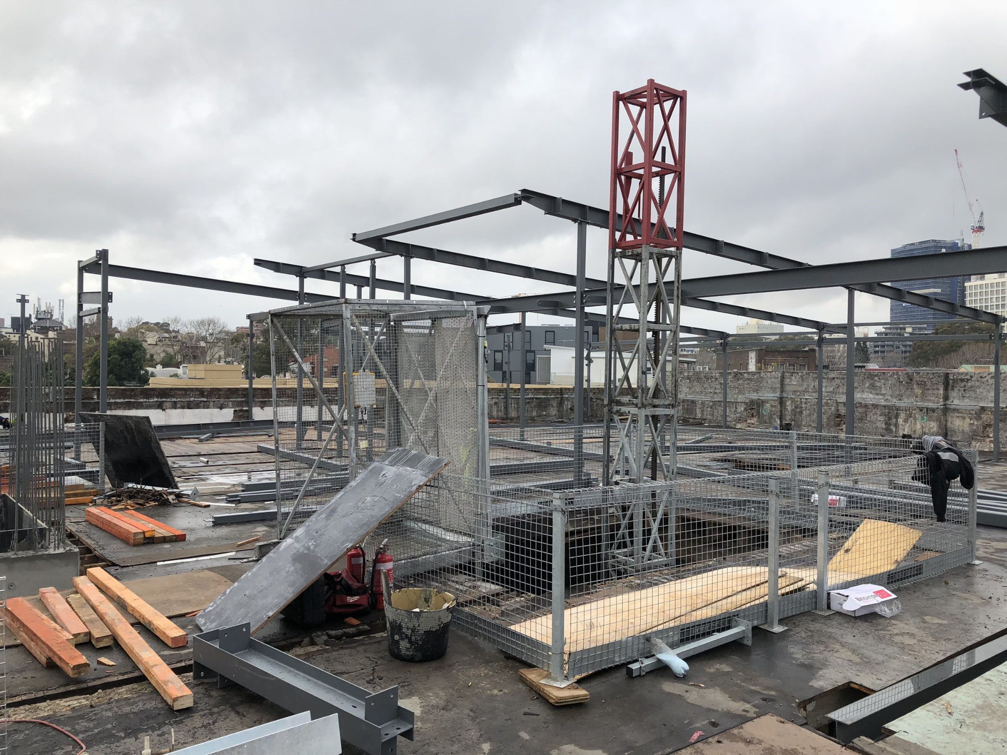 Chipping Dale 2 .png