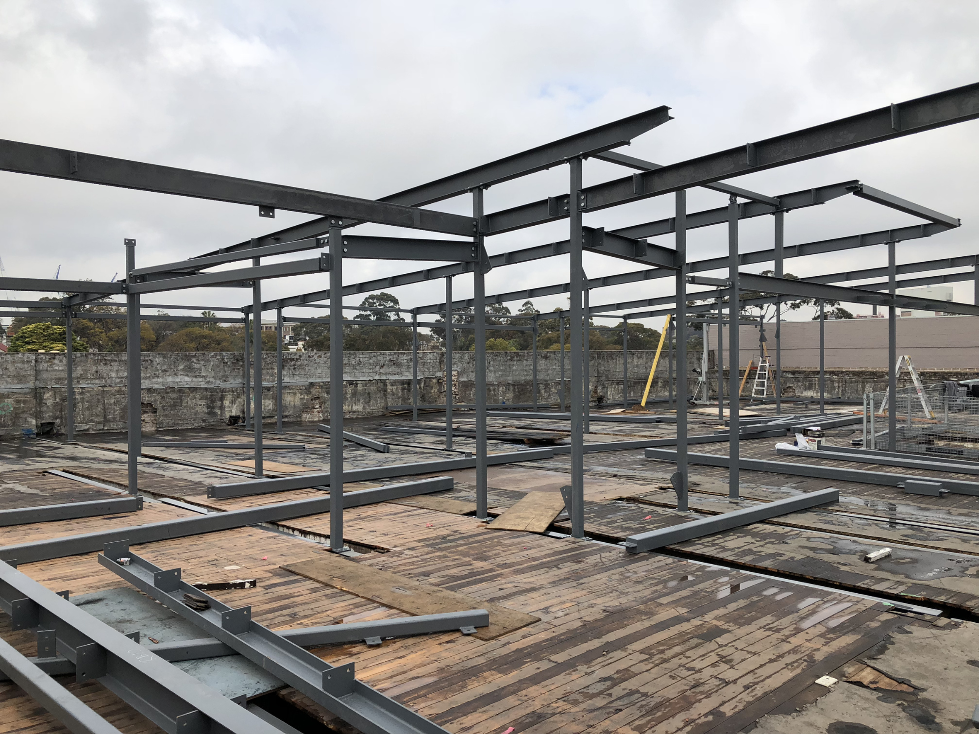 Chipping Dale 1 .png