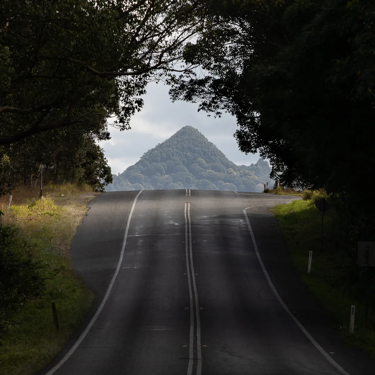 A winding road surrounded by lush trees leading towards a mountain in the distance under a cloudy sky.