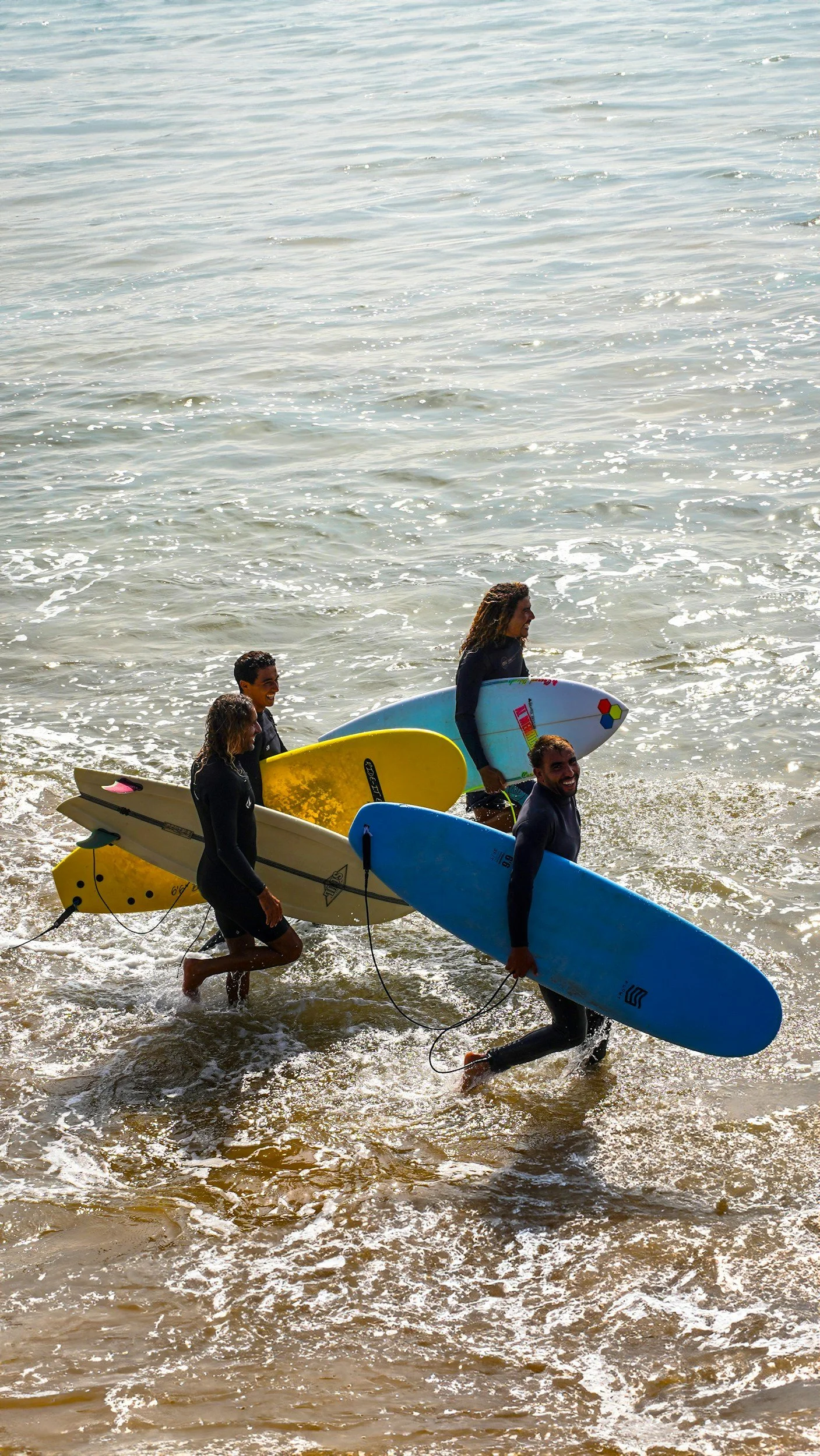 Surf lessons & surf board rental anglet biarritz