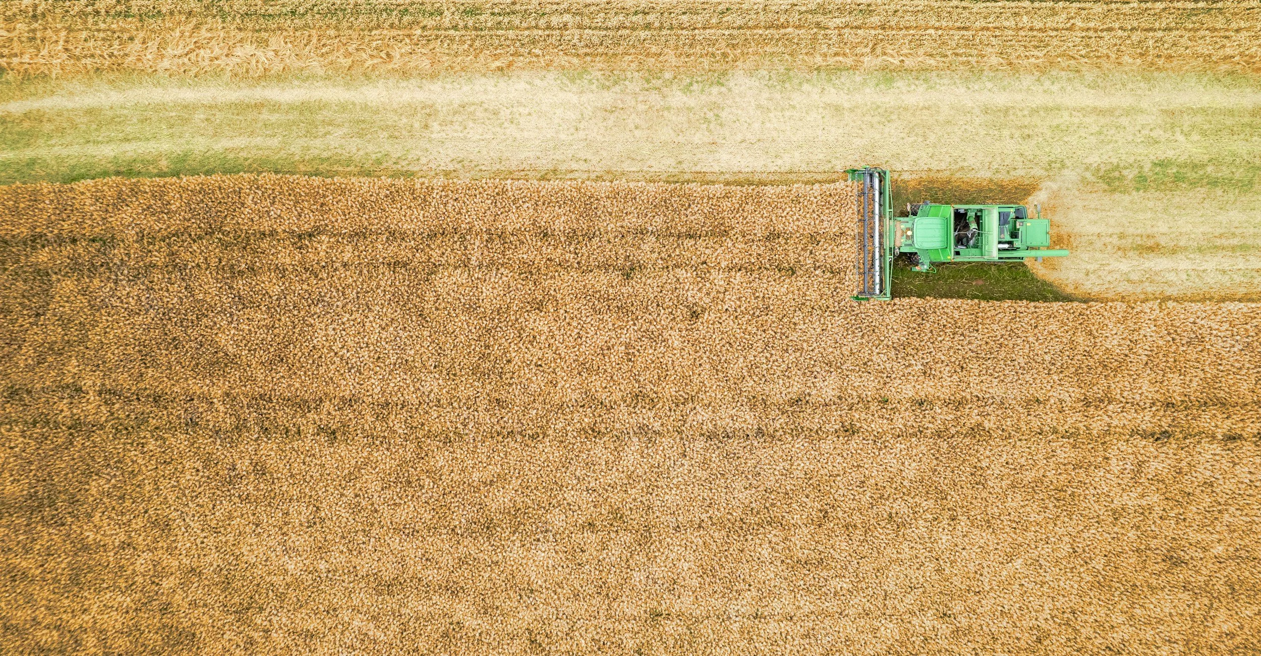Aerial view of a green combine harvester in a wheat field.