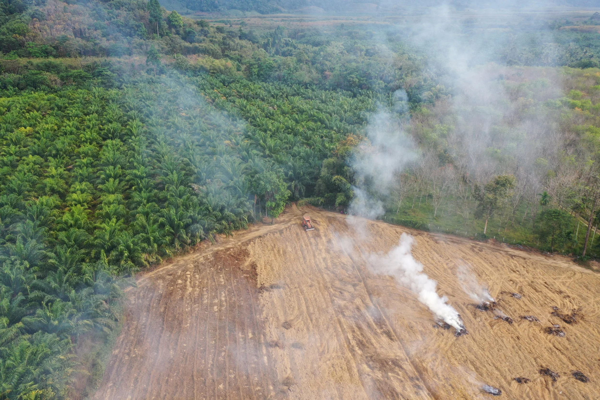 An aerial view of a deforested land area with three smoke spots. To one side, there is a dense green forest area with many trees, likely palm trees. A small vehicle is seen on the cleared land, possibly involved in land clearing or burning.
