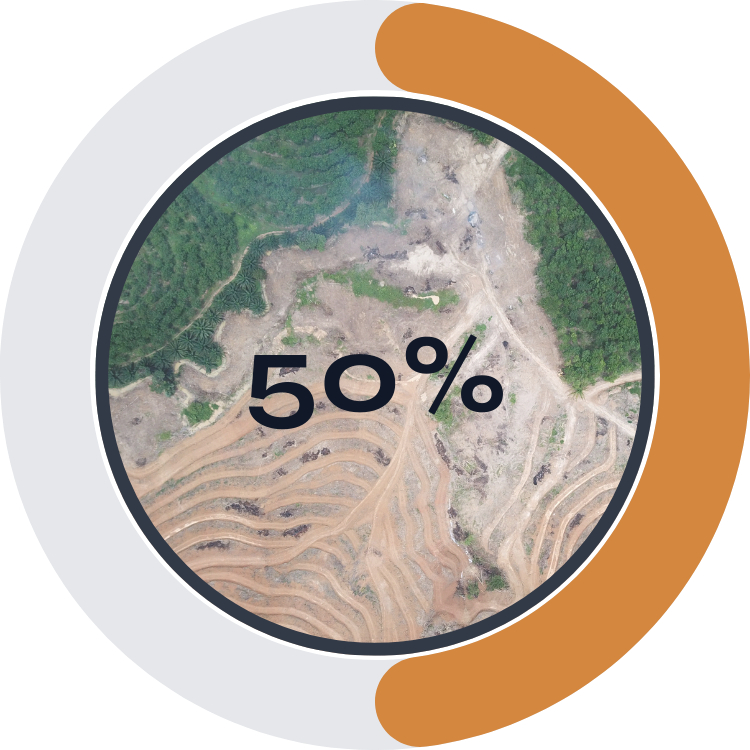 Aerial view of a deforested area with winding roads, some green forest patches, and a 50% progress indicator