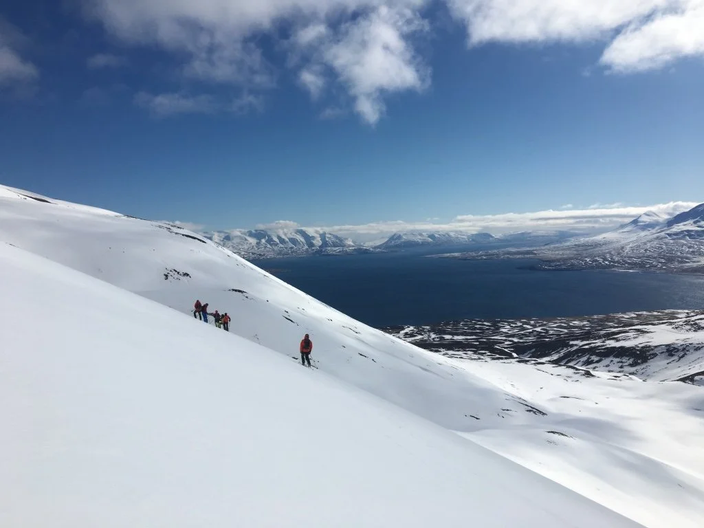 Island Skitouren Winterszene mit mehreren Skifahrern auf verschneitem Hang vor einem Fjord mit Bergen im Hintergrund, bewölktem Himmel und Sonnenlicht.
