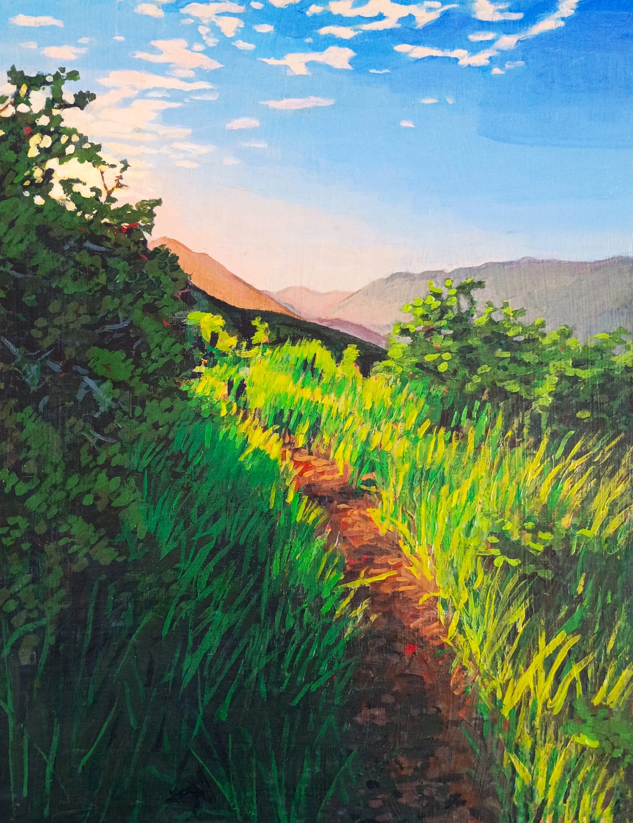 "Foothills Sunrise I"
2025, Acrylic on Panel 18X14"