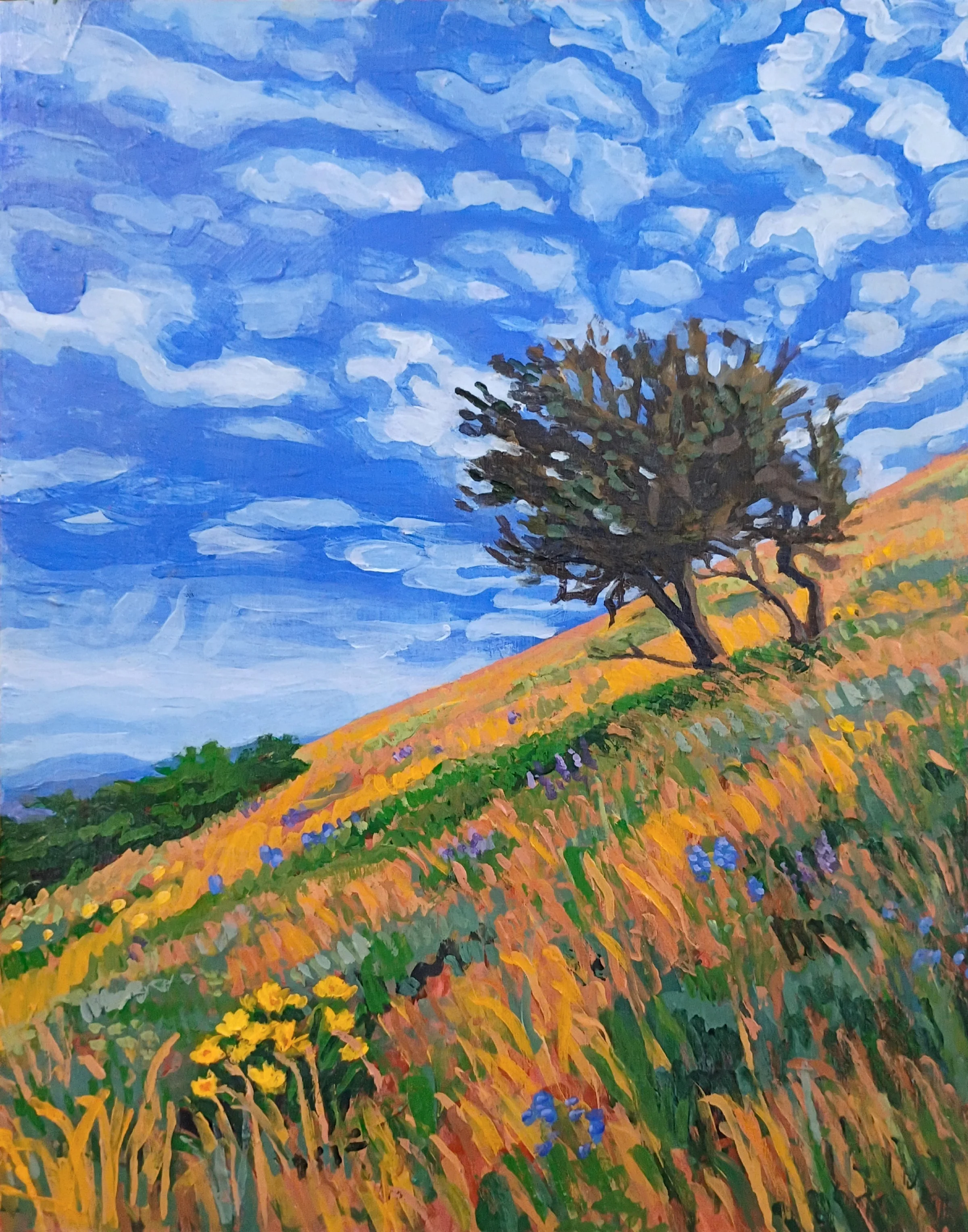 "Morning Mountain Mahogany"