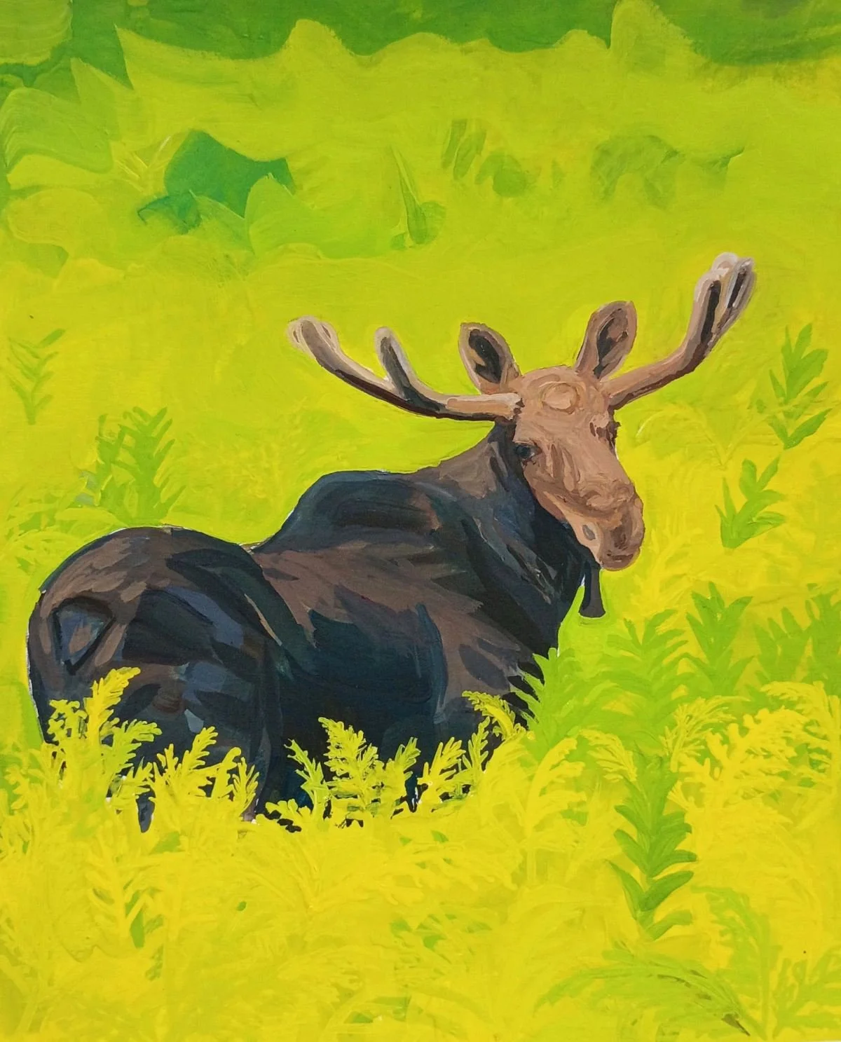 “Moose in Ferns" Prints
