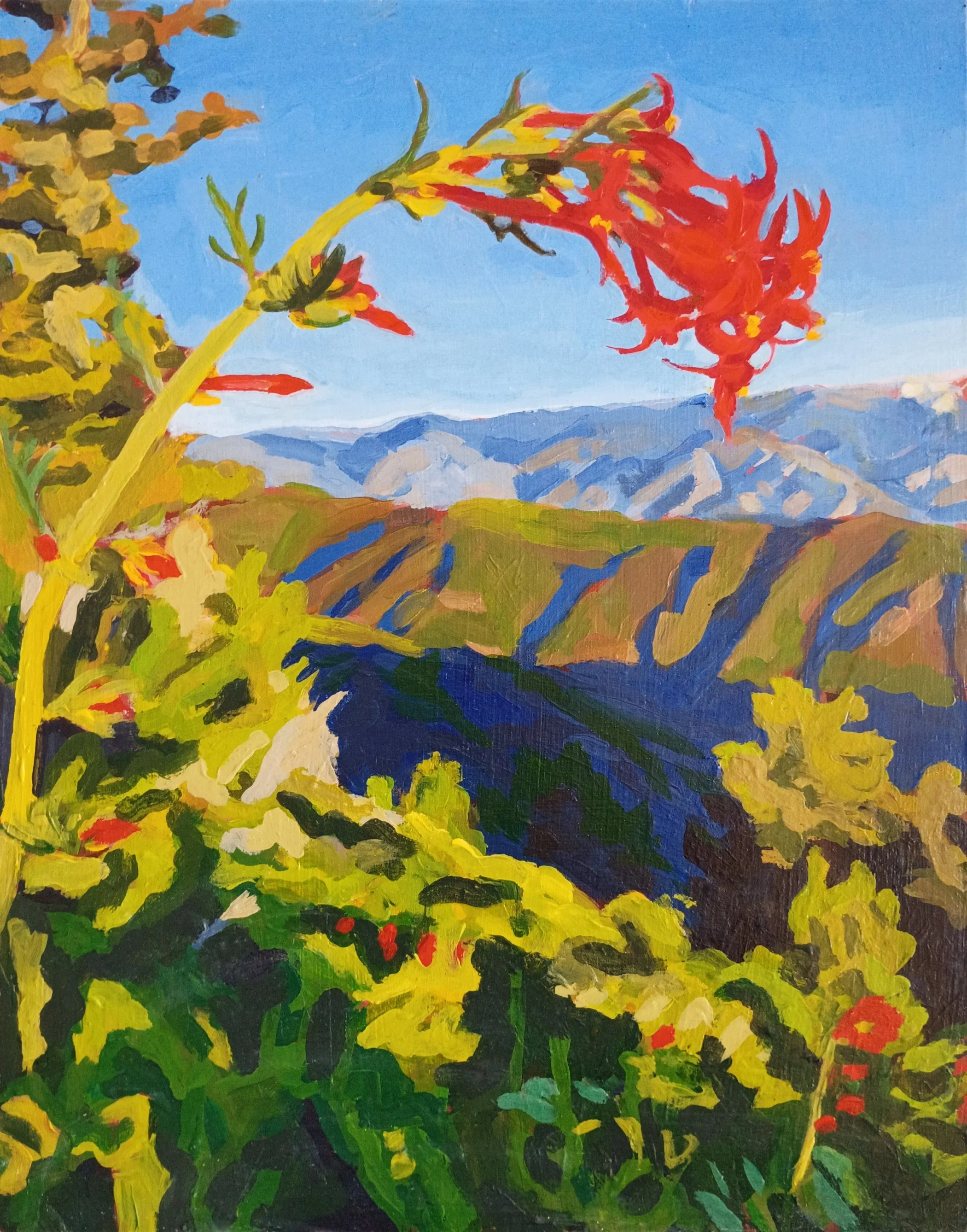 Ipomopsis I
2025, 14X11" acrylic on panel.