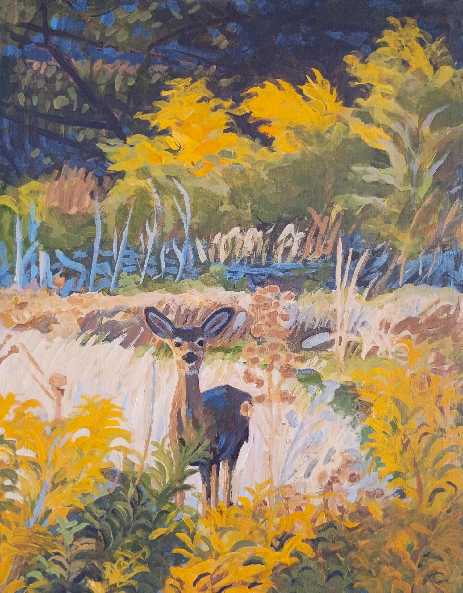 “Doe in Willows”