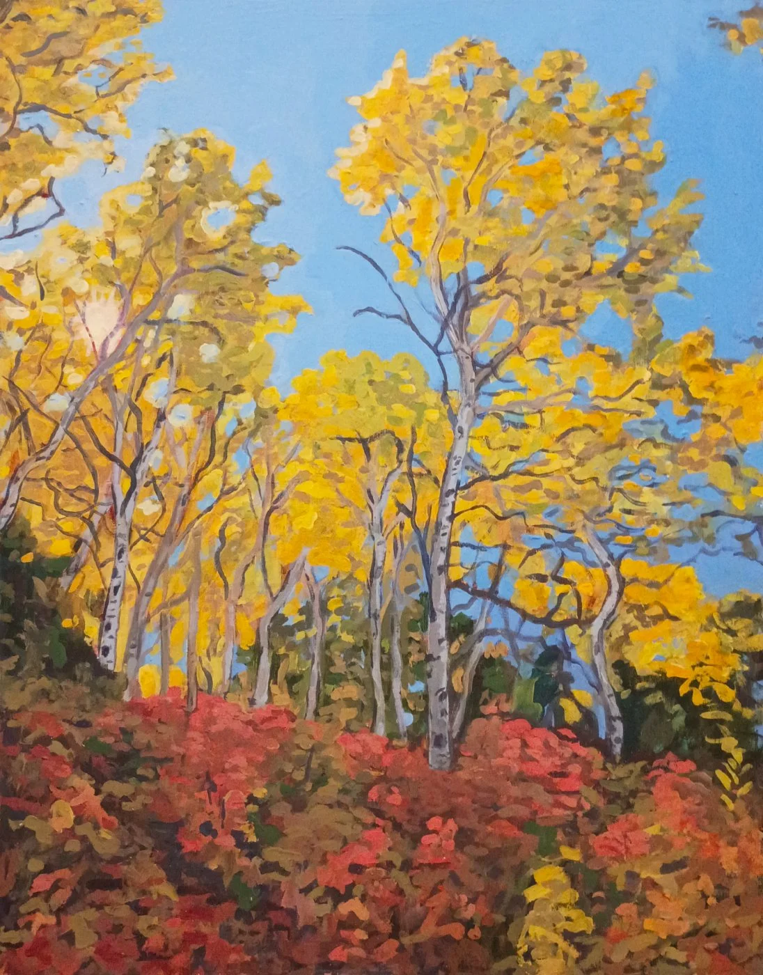 "Sunlight through Autumn Aspens"
2026, Bio-acrylic and acrylic on panel, 20X16".